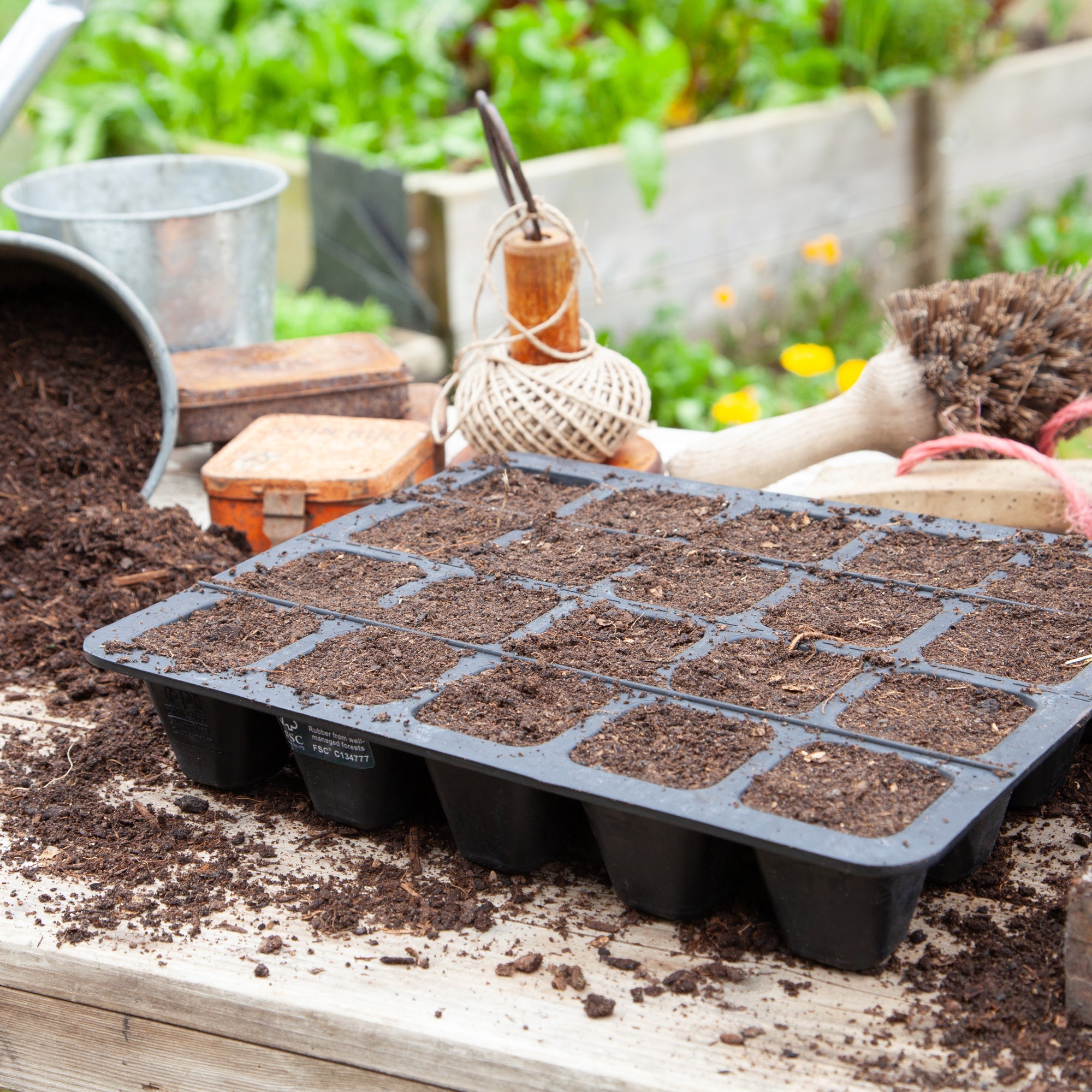 Natural Rubber Seed Tray with 20 Cells