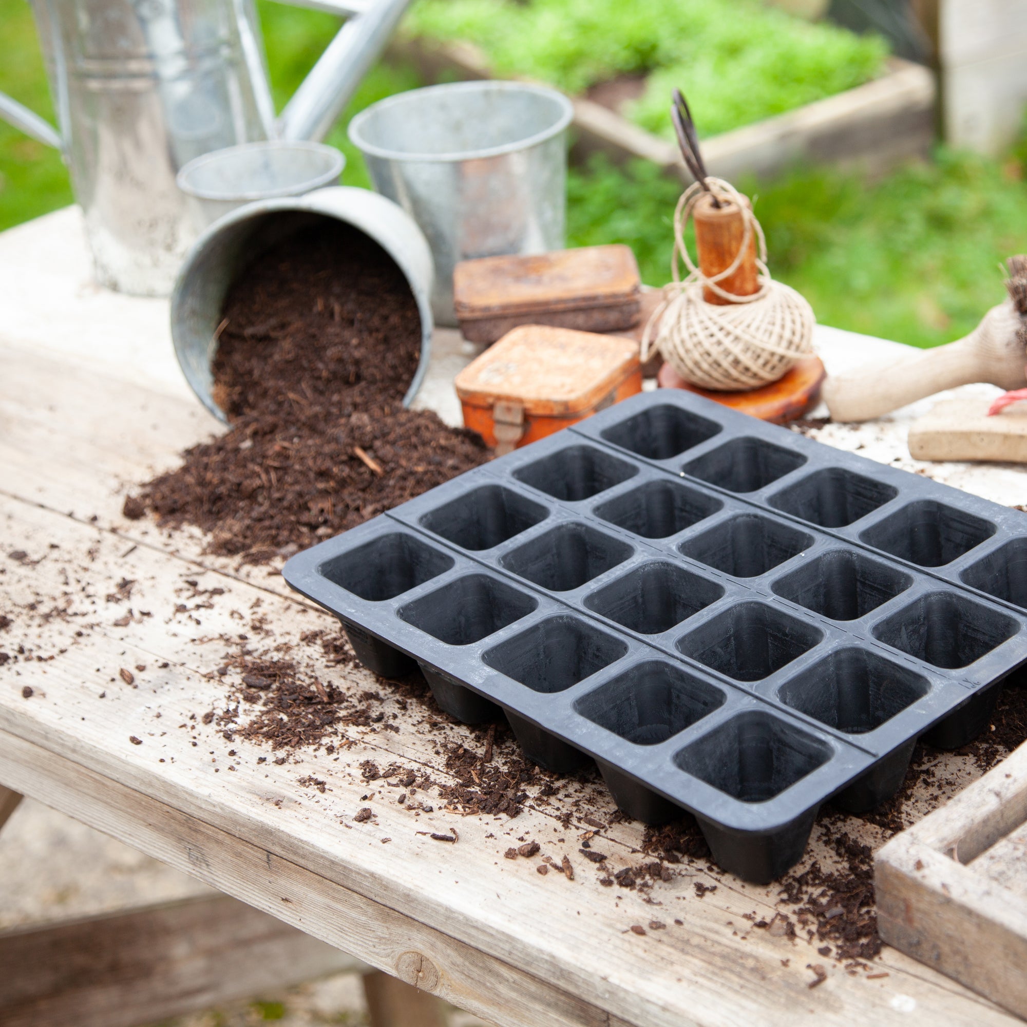 Natural Rubber Seed Tray with 20 Cells