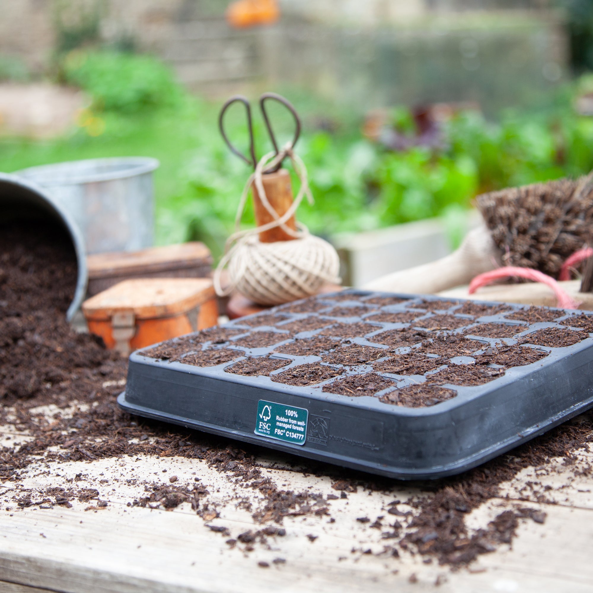 Natural Rubber Seed Tray with 30 Cells