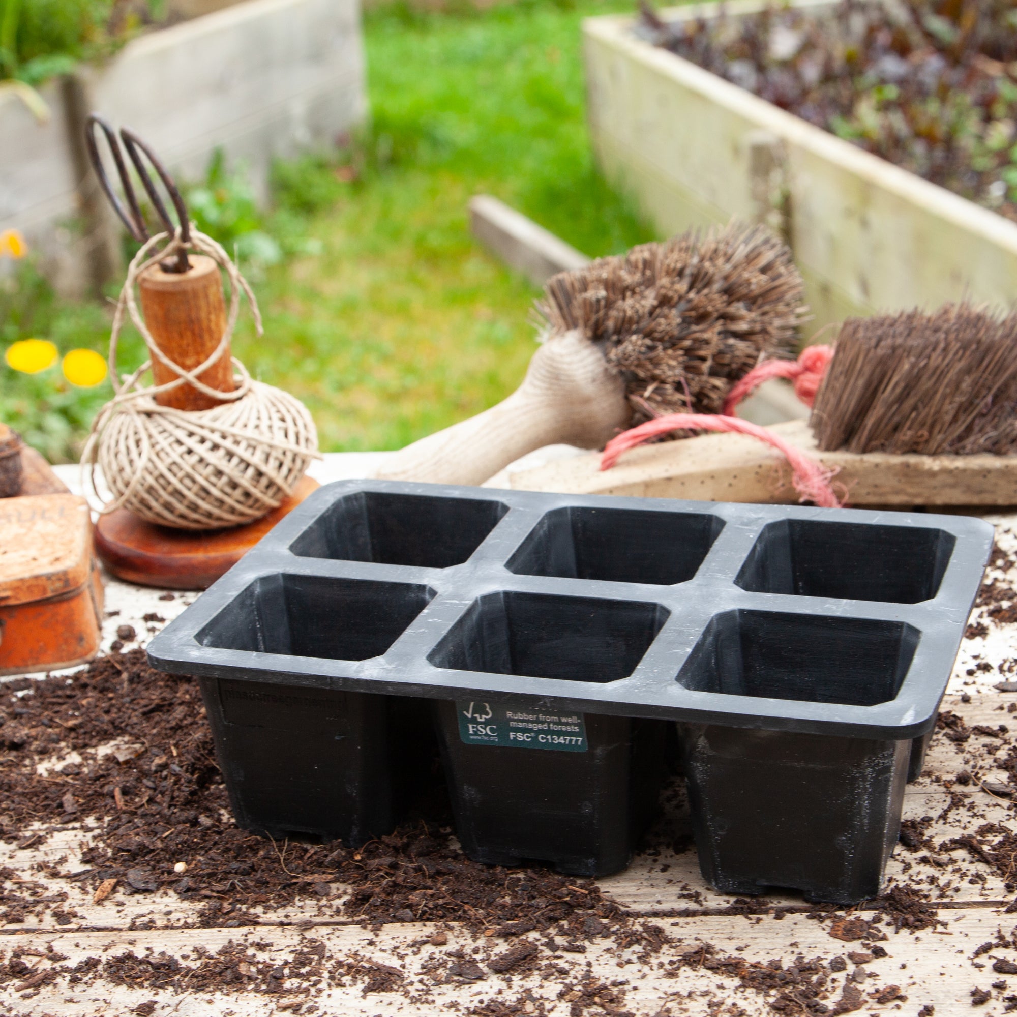 Natural Rubber Seed Tray with 6 XL Cells
