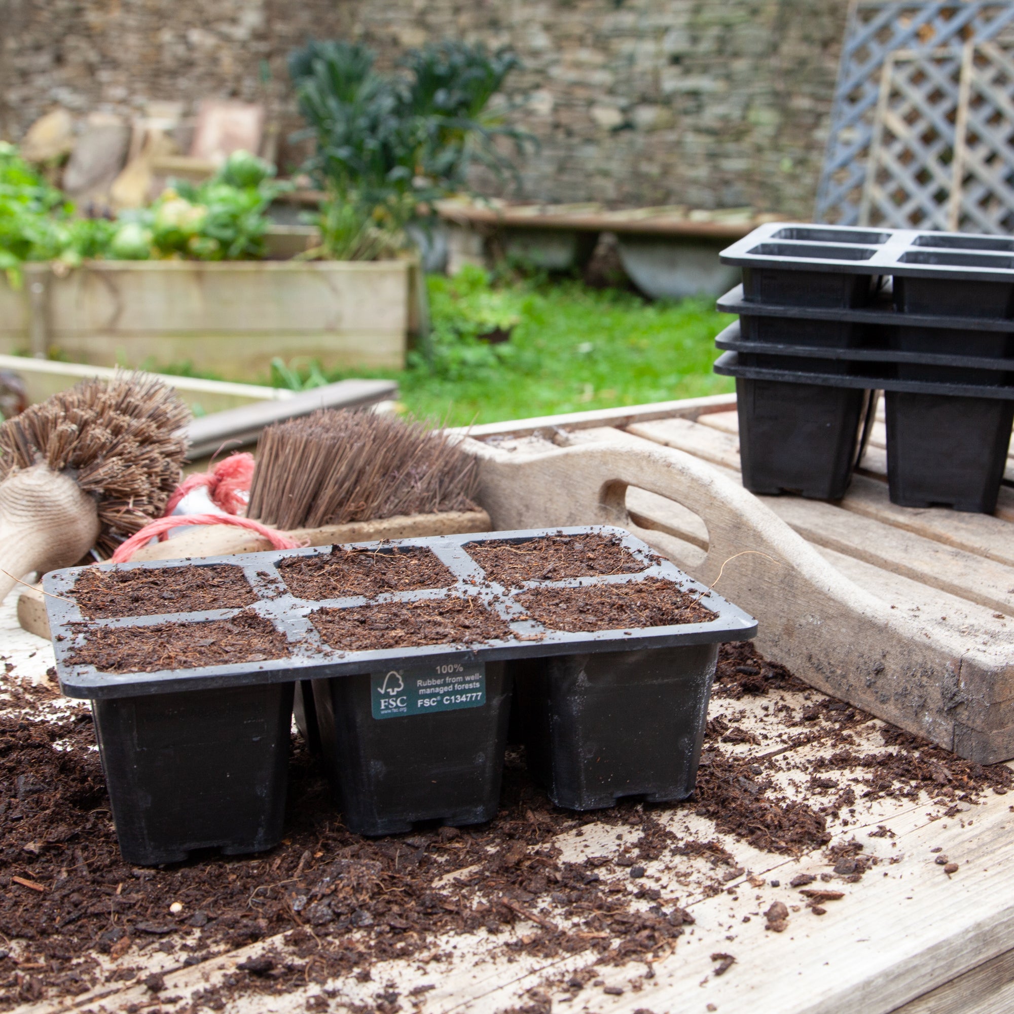 Natural Rubber Seed Tray with 6 XL Cells
