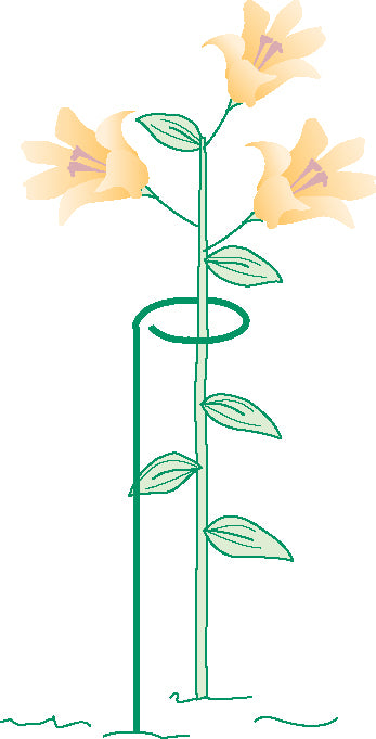 Bosmere 24" x 6" Hoop Style Plant Support