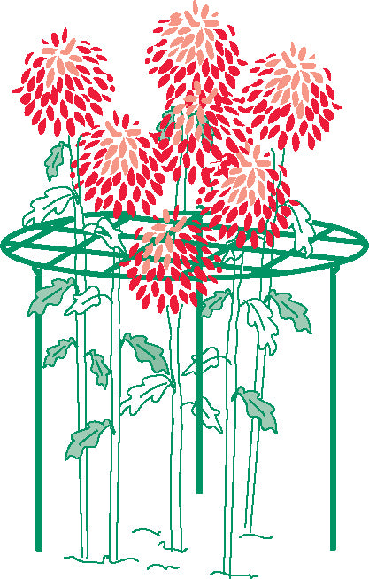 Bosmere 22" Flower Frame Grid with 36" Legs