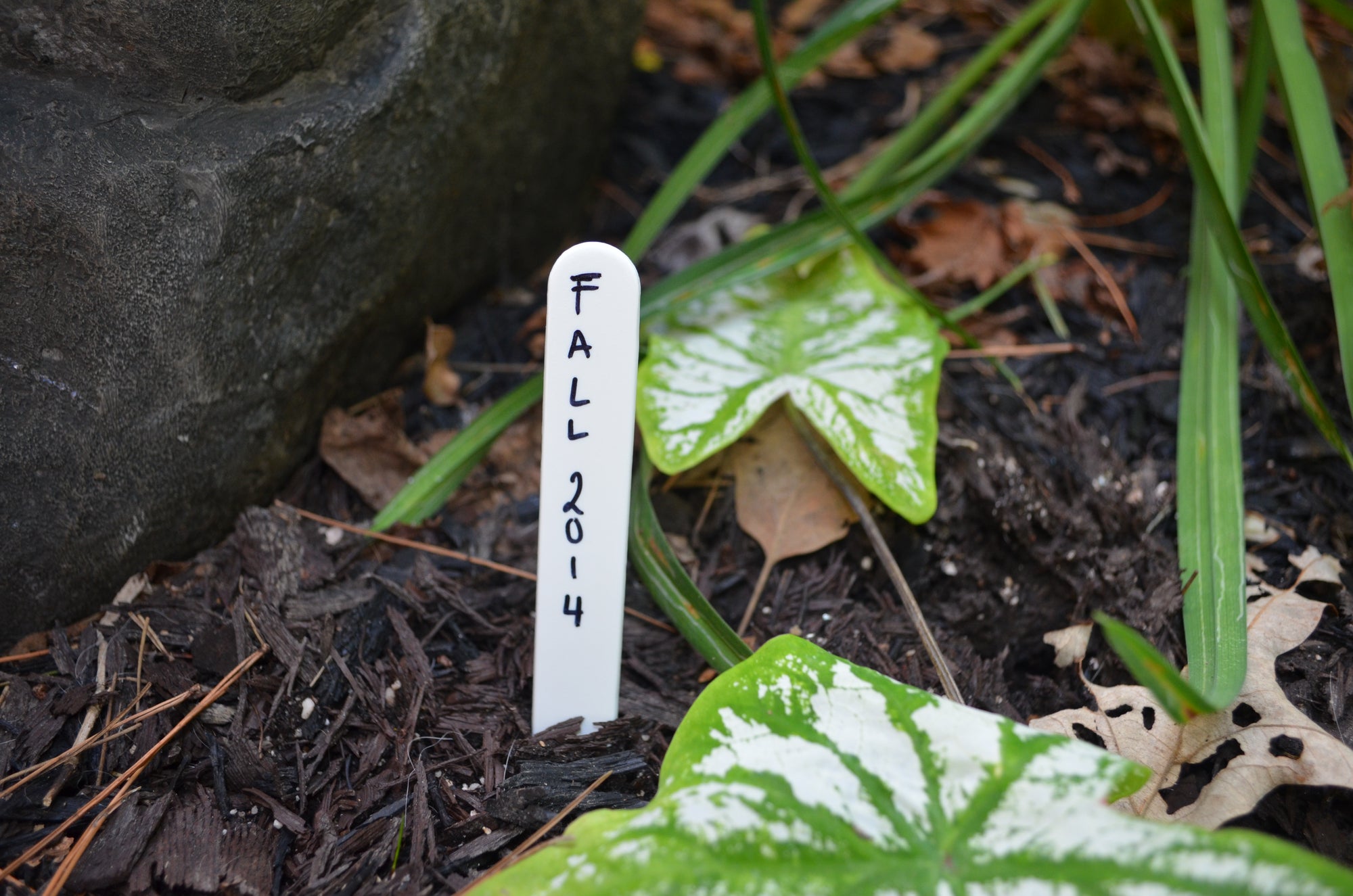 6" White Plastic Pot Labels