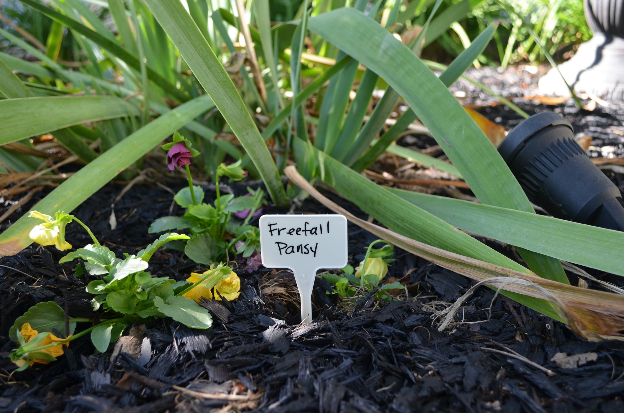 5.5" Plastic T-Labels
