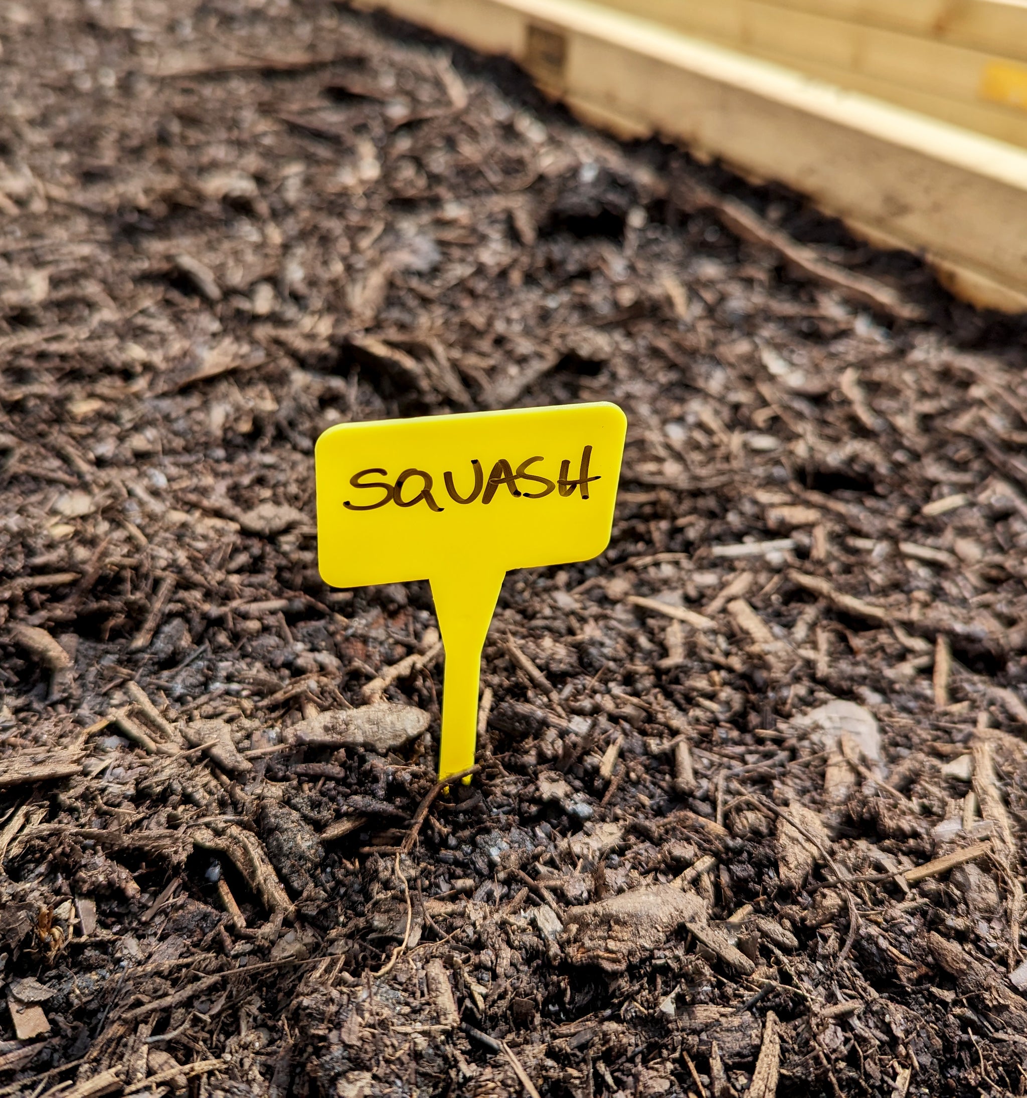 5.5" Plastic T-Labels