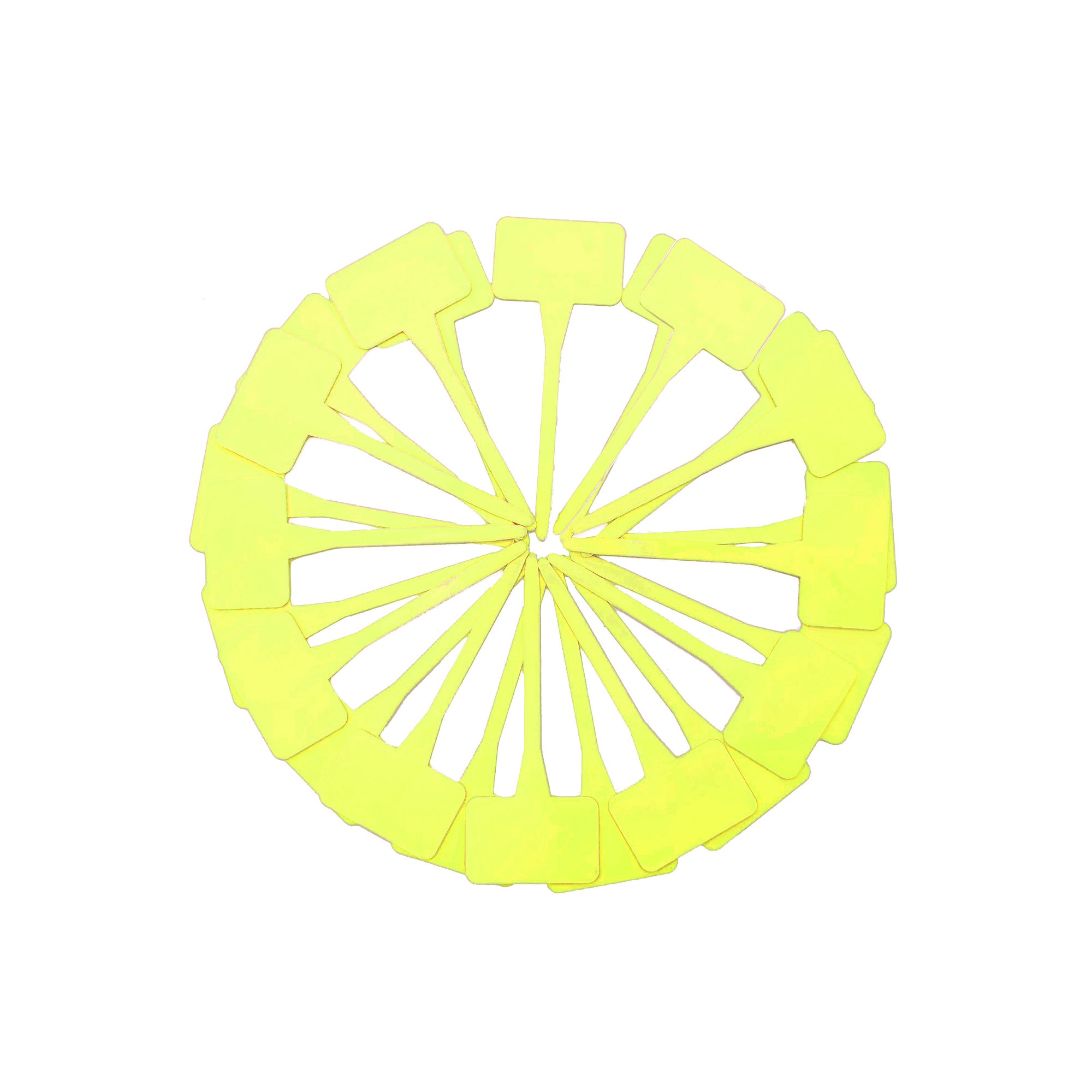 5.5" Plastic T-Labels