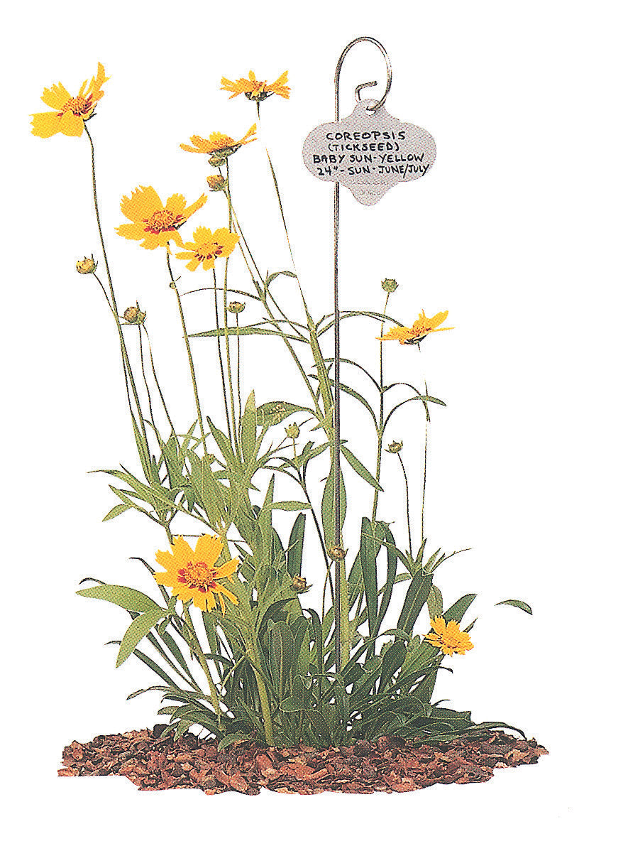 24" Wren Garden Stake with Stainless Steel Tag