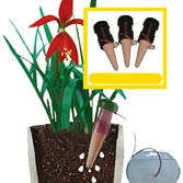 Houseplant Water Drinks