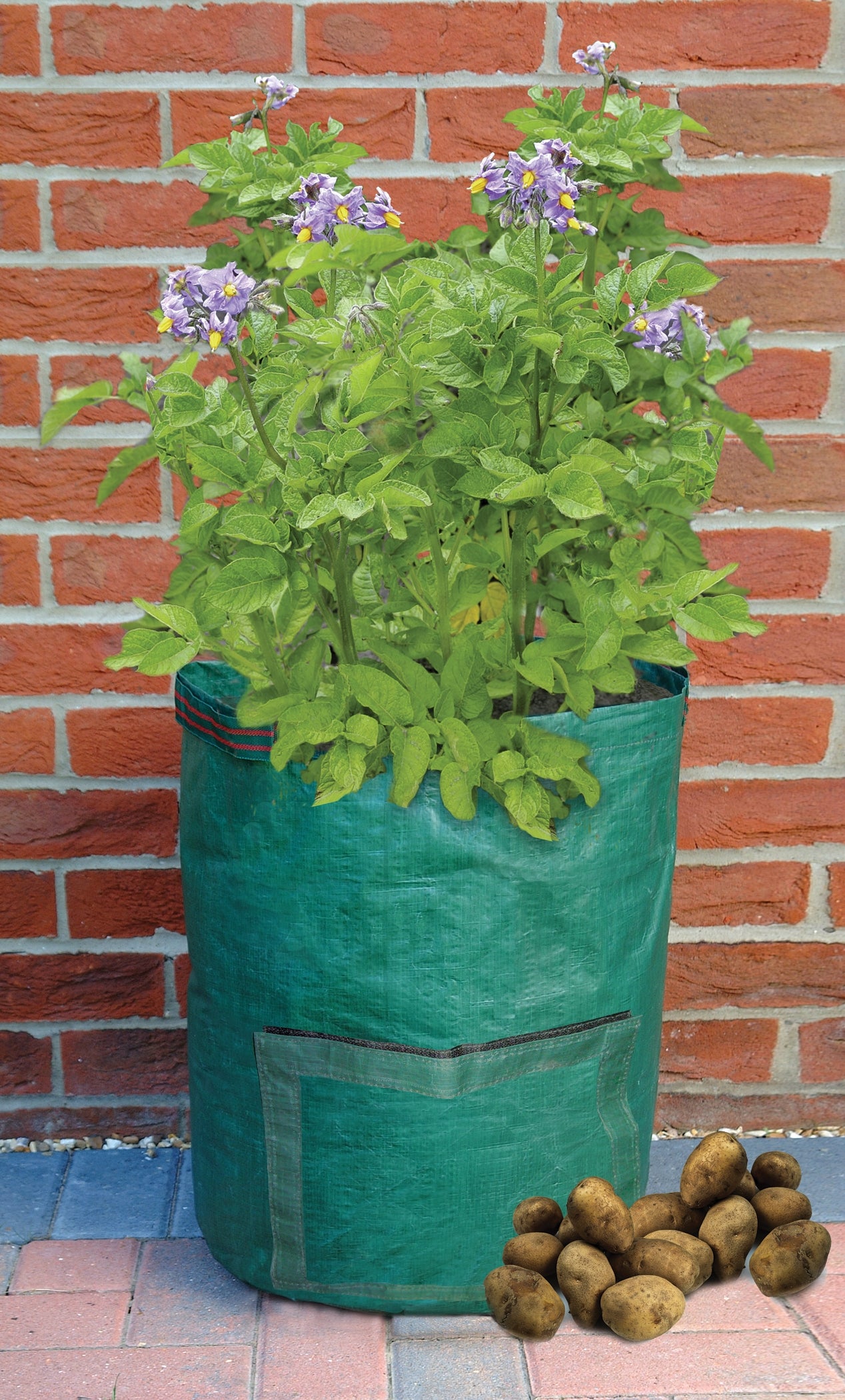 potato planter pot Potato Planter Bag