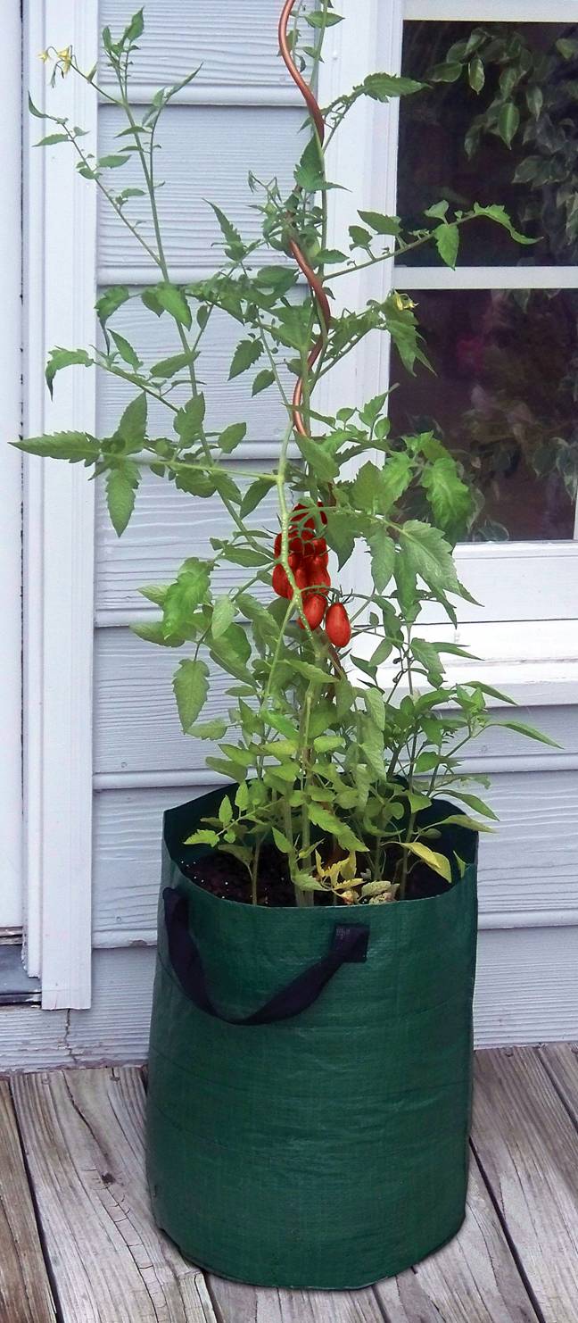 tomato planter grow bags Bosmere Tomato Planter Bag