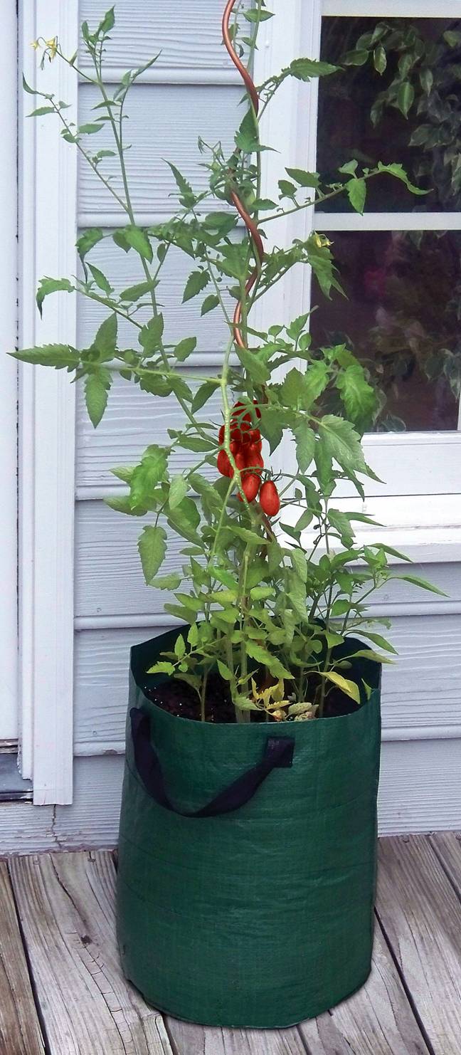 Tomato Planter Bag