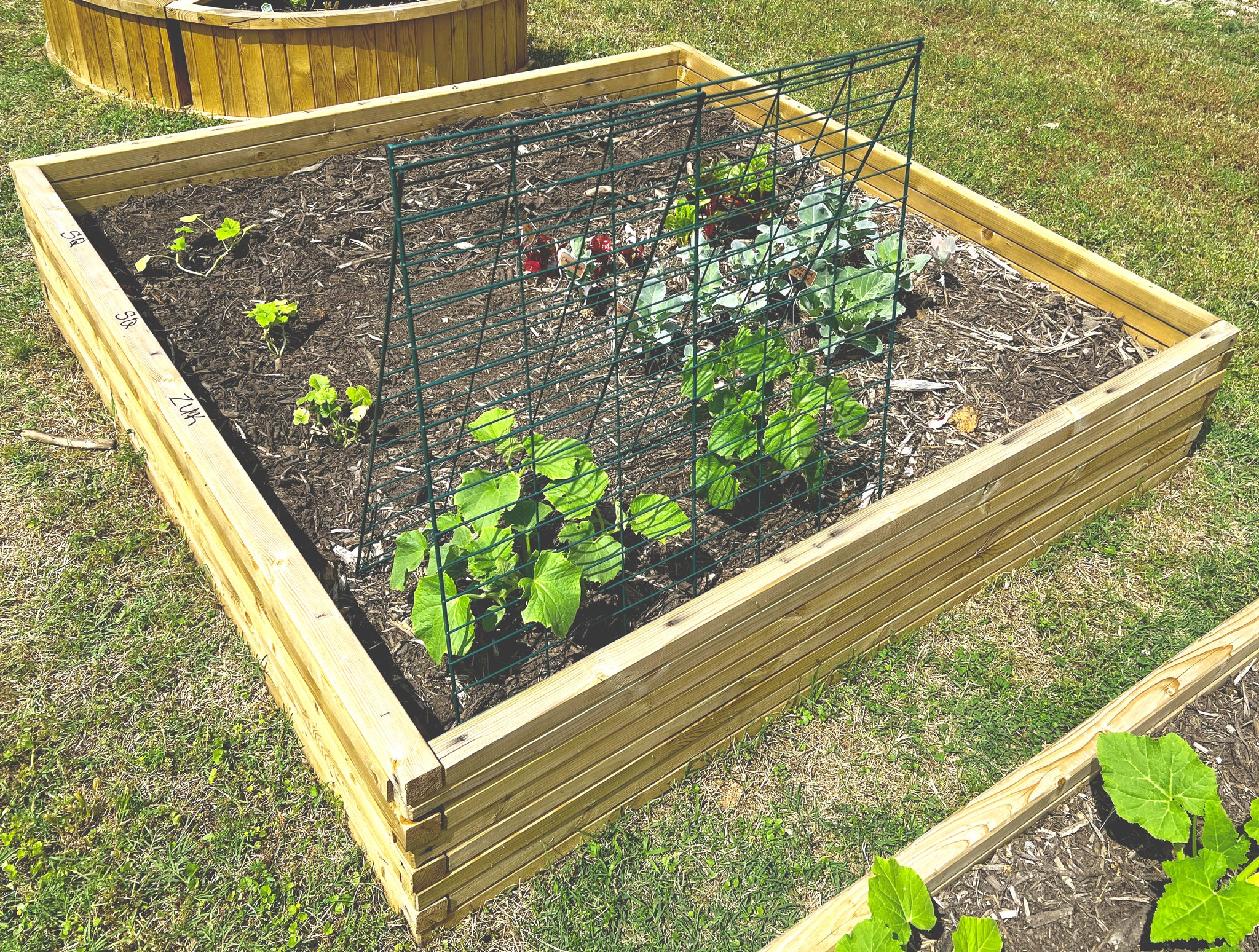 Veggie Trellis with 2 Panels