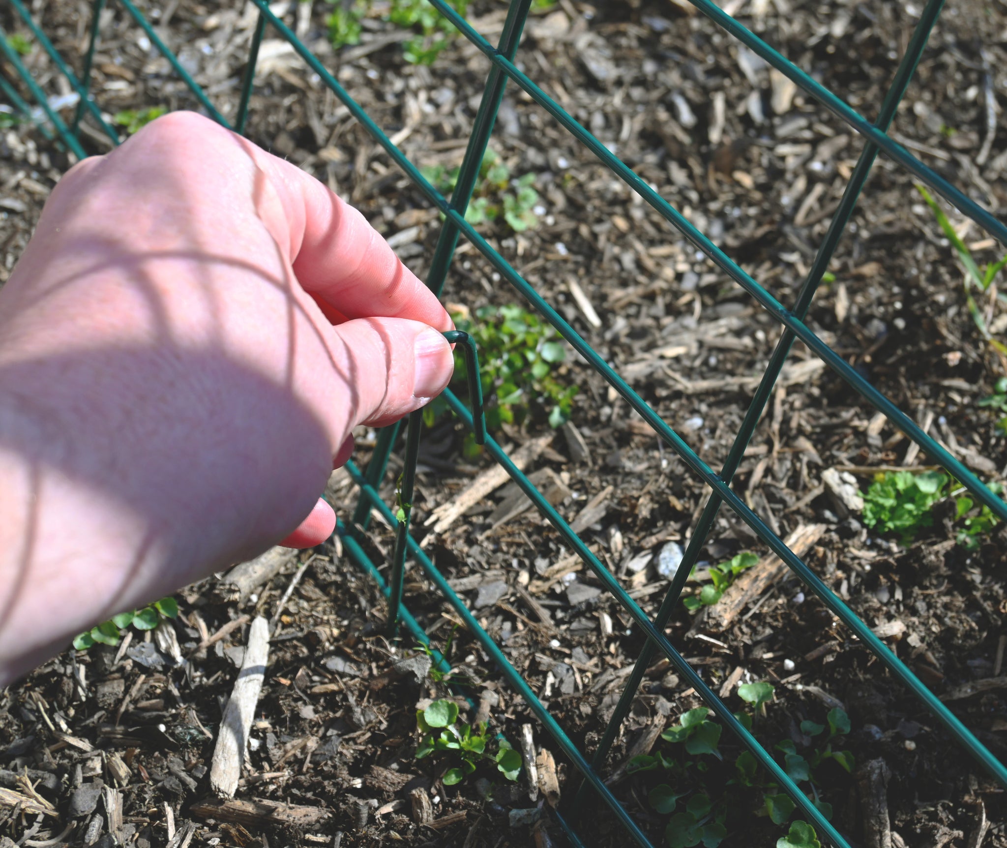 Veggie Trellis with 4 Panels