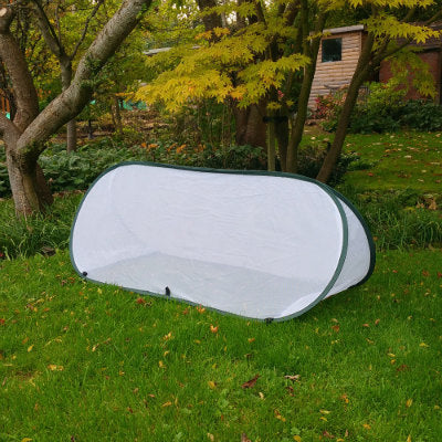 Pop-up Triangle Cloche, Insect Net