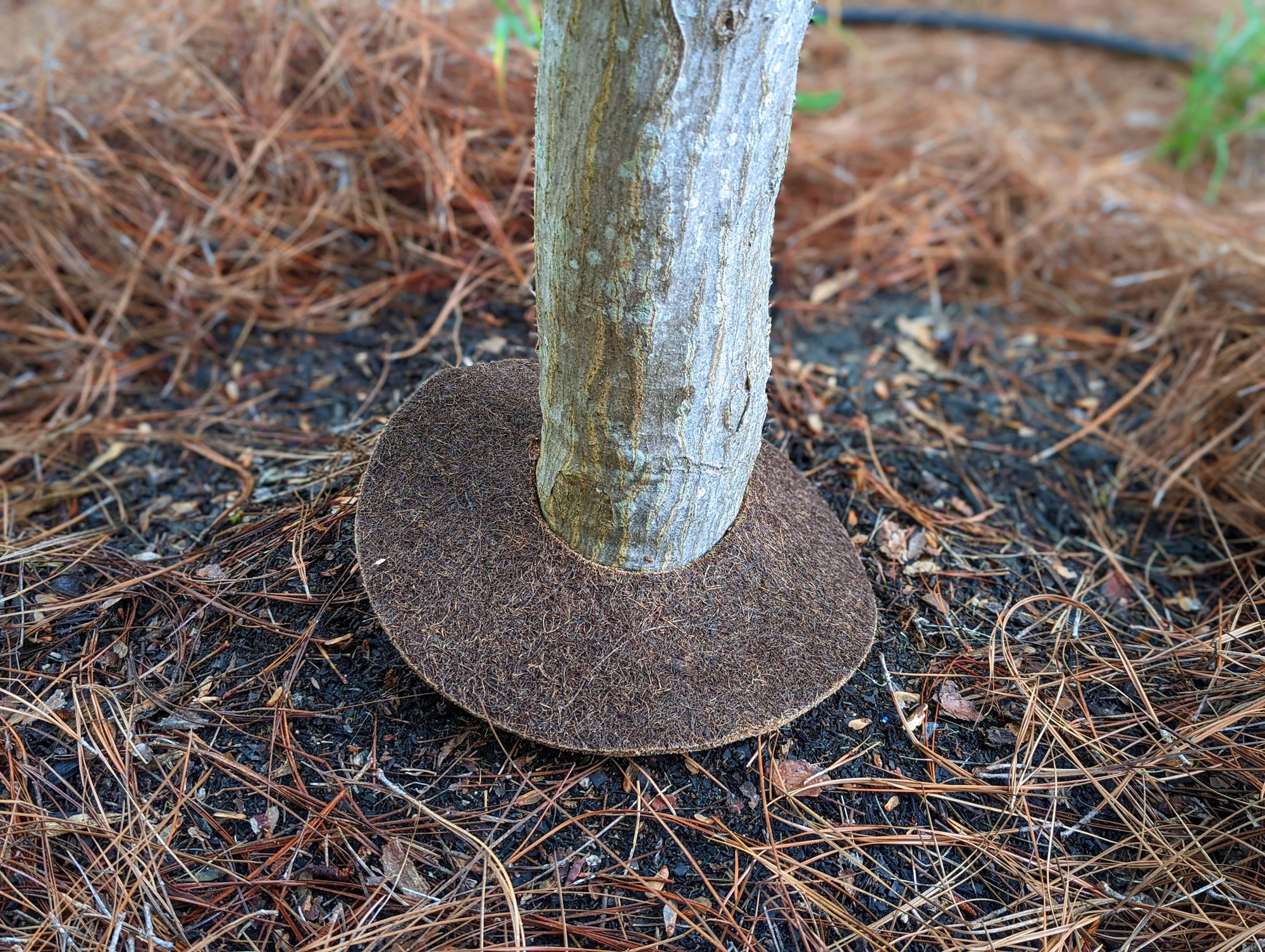Coco Fiber Tree Protector Rings