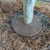 Coco Fiber Tree Protector Rings