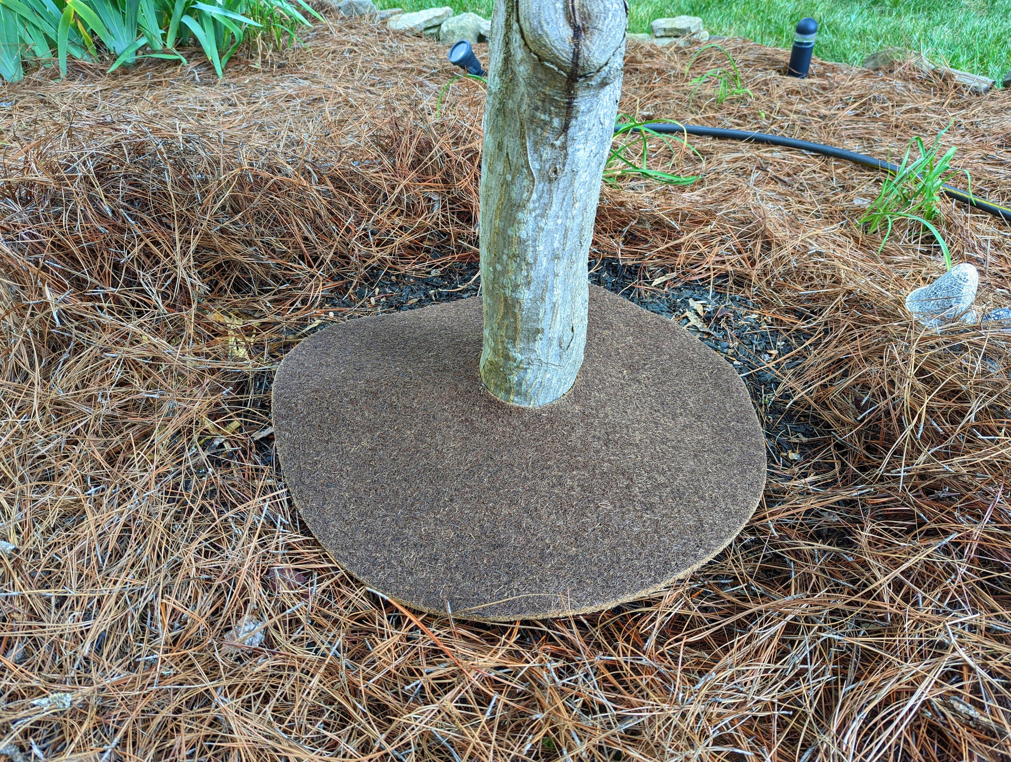 Coco Fiber Tree Protector Rings