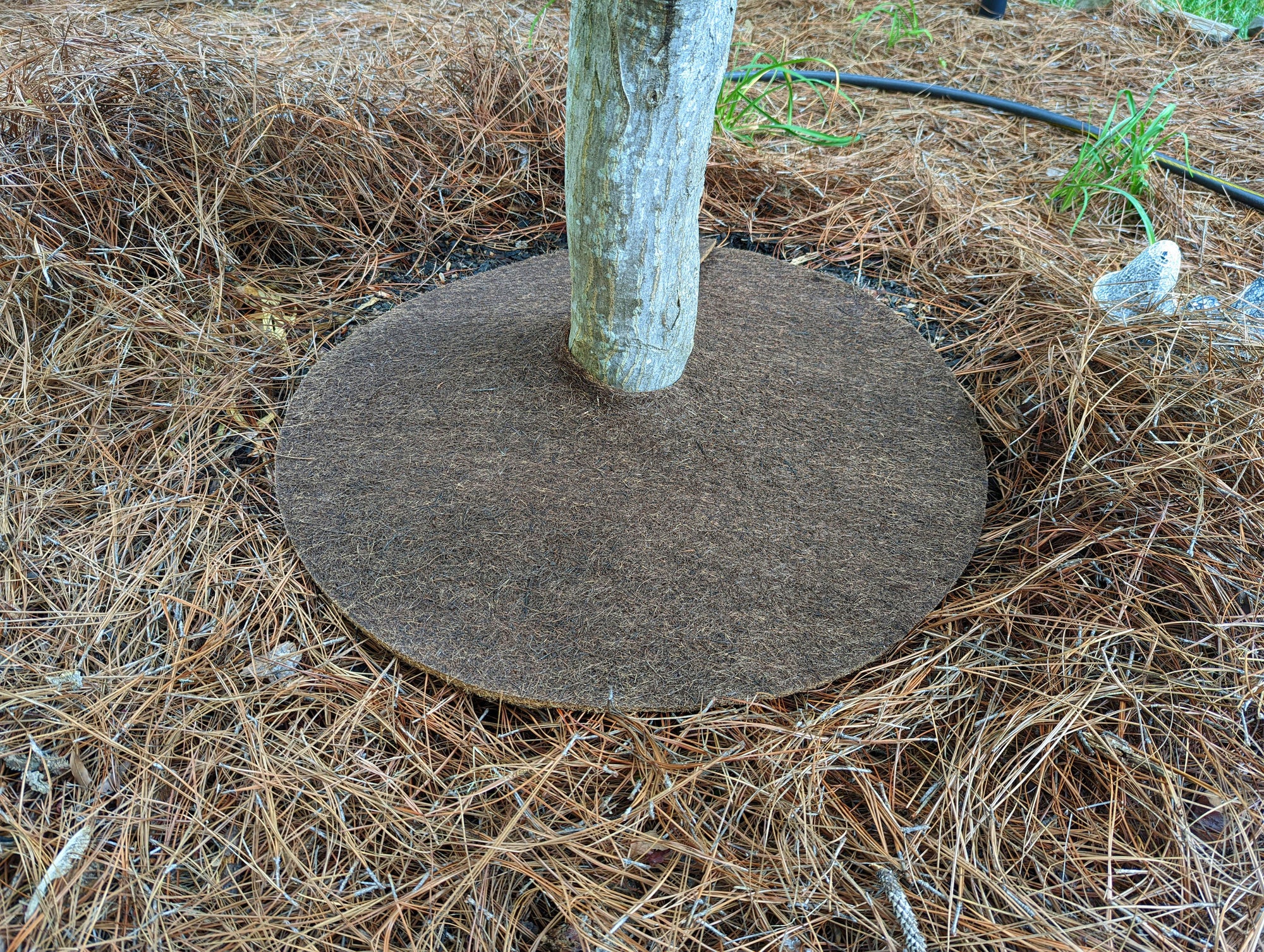 Coco Fiber Tree Protector Rings