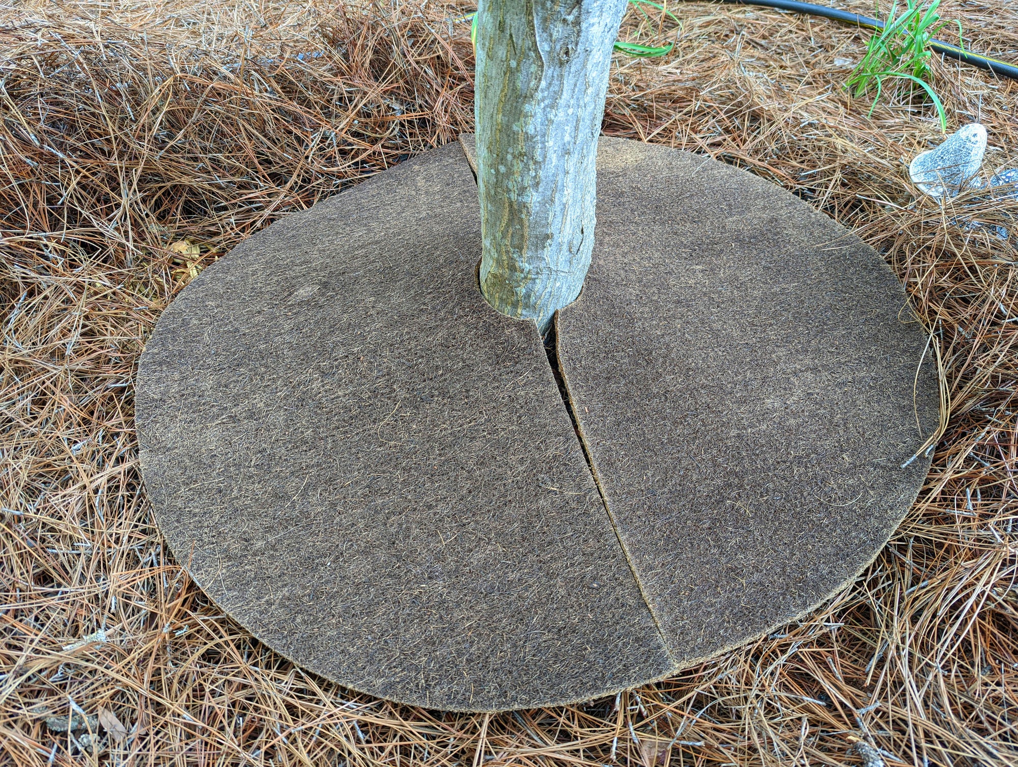 Coco Fiber Tree Protector Rings