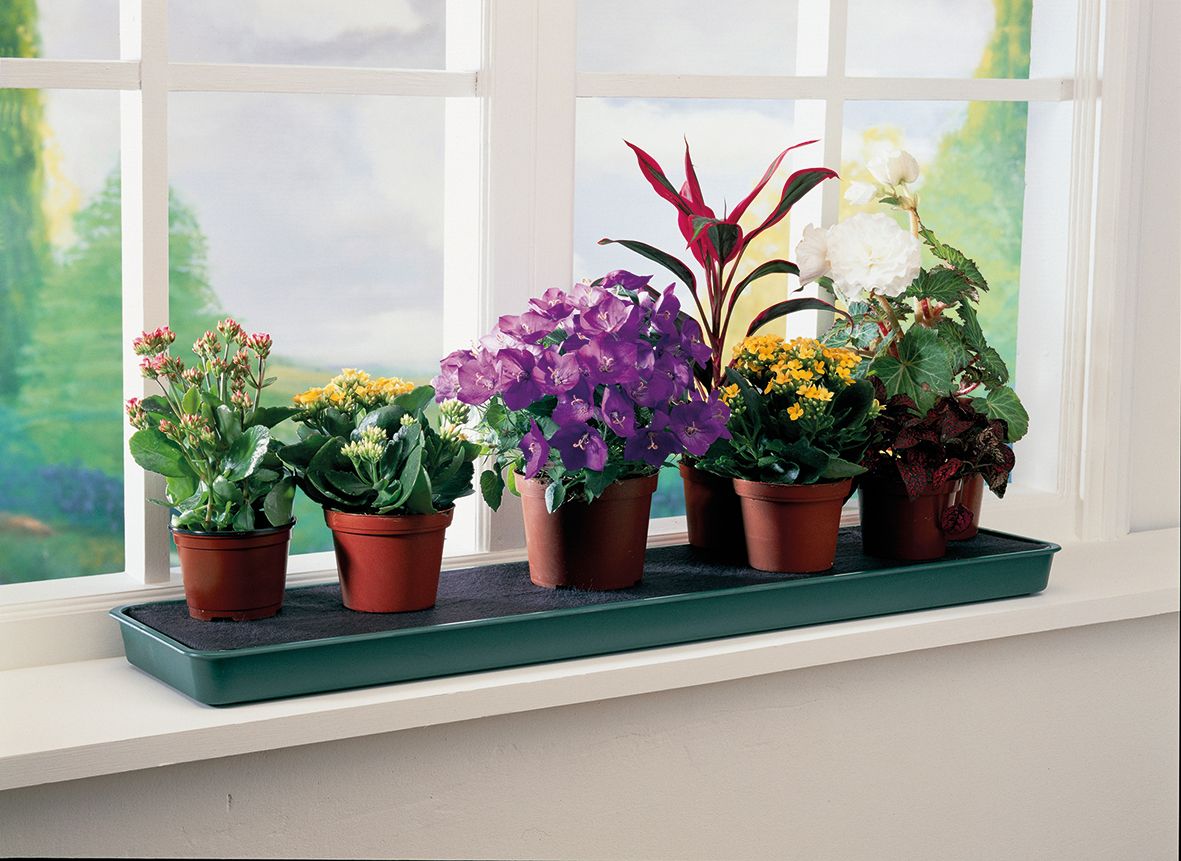 Self-Watering Plant Pot Tray 30"