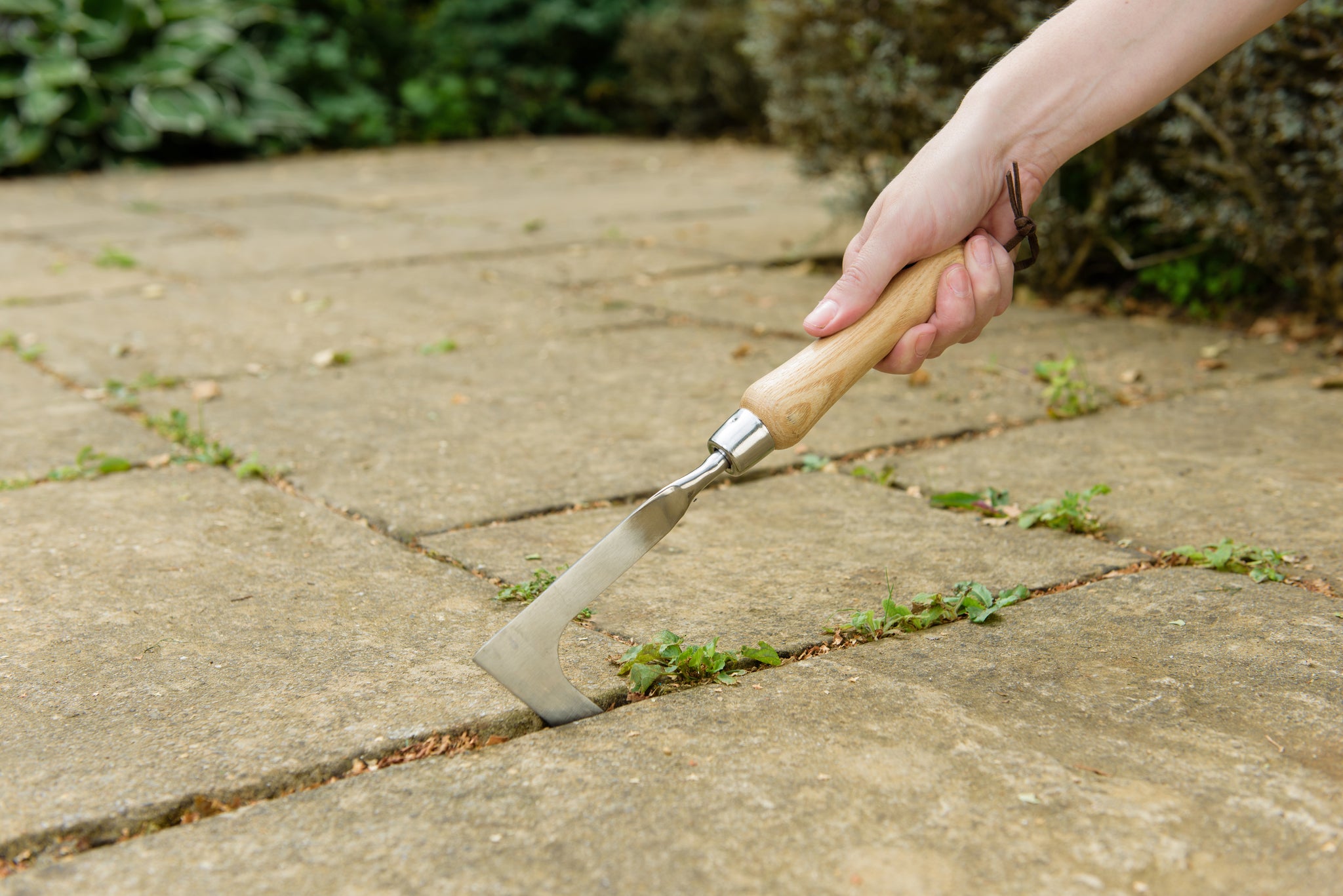 Kent & Stowe Stainless Steel Hand Weeding Knife