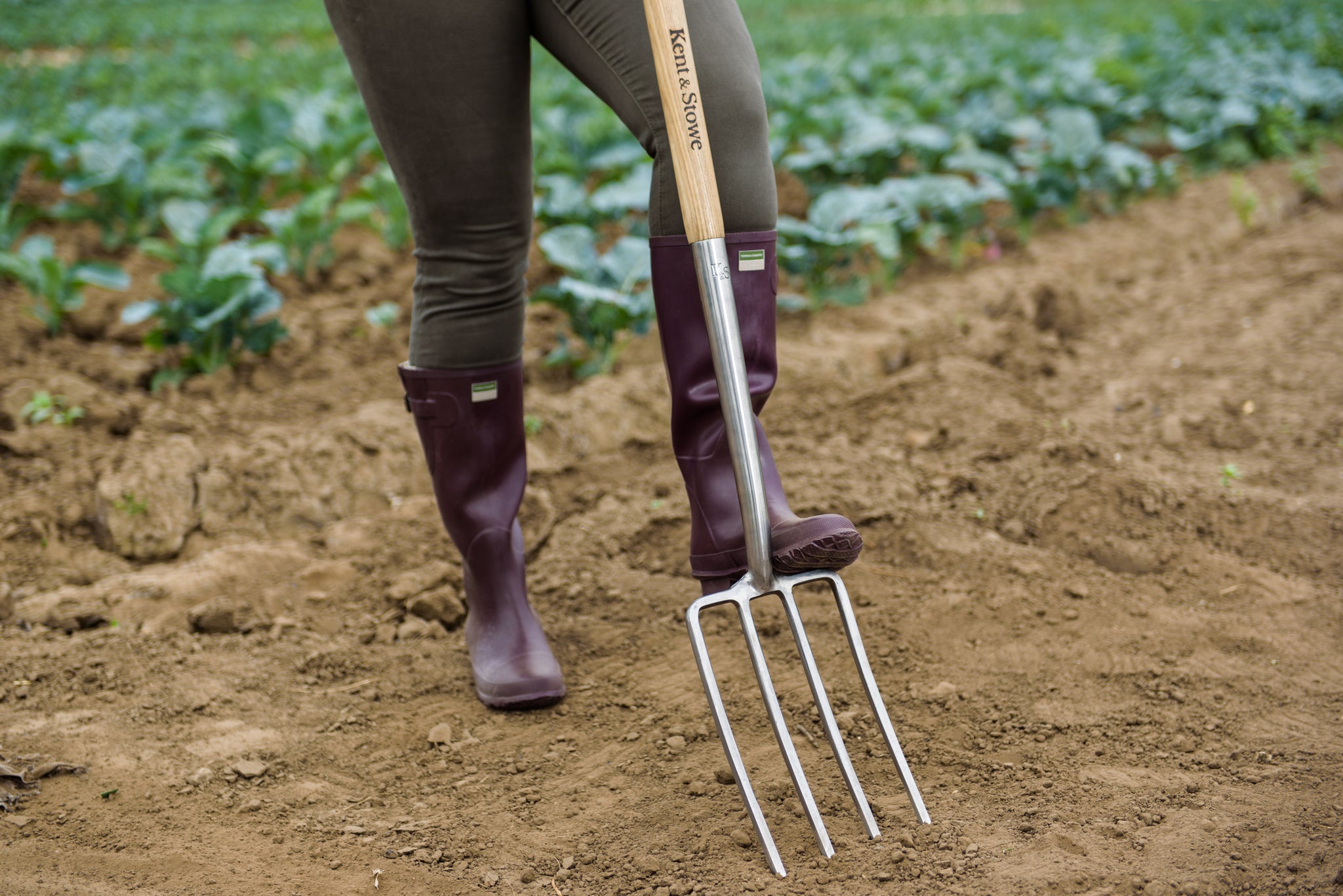 Kent & Stowe Stainless Steel Digging Fork