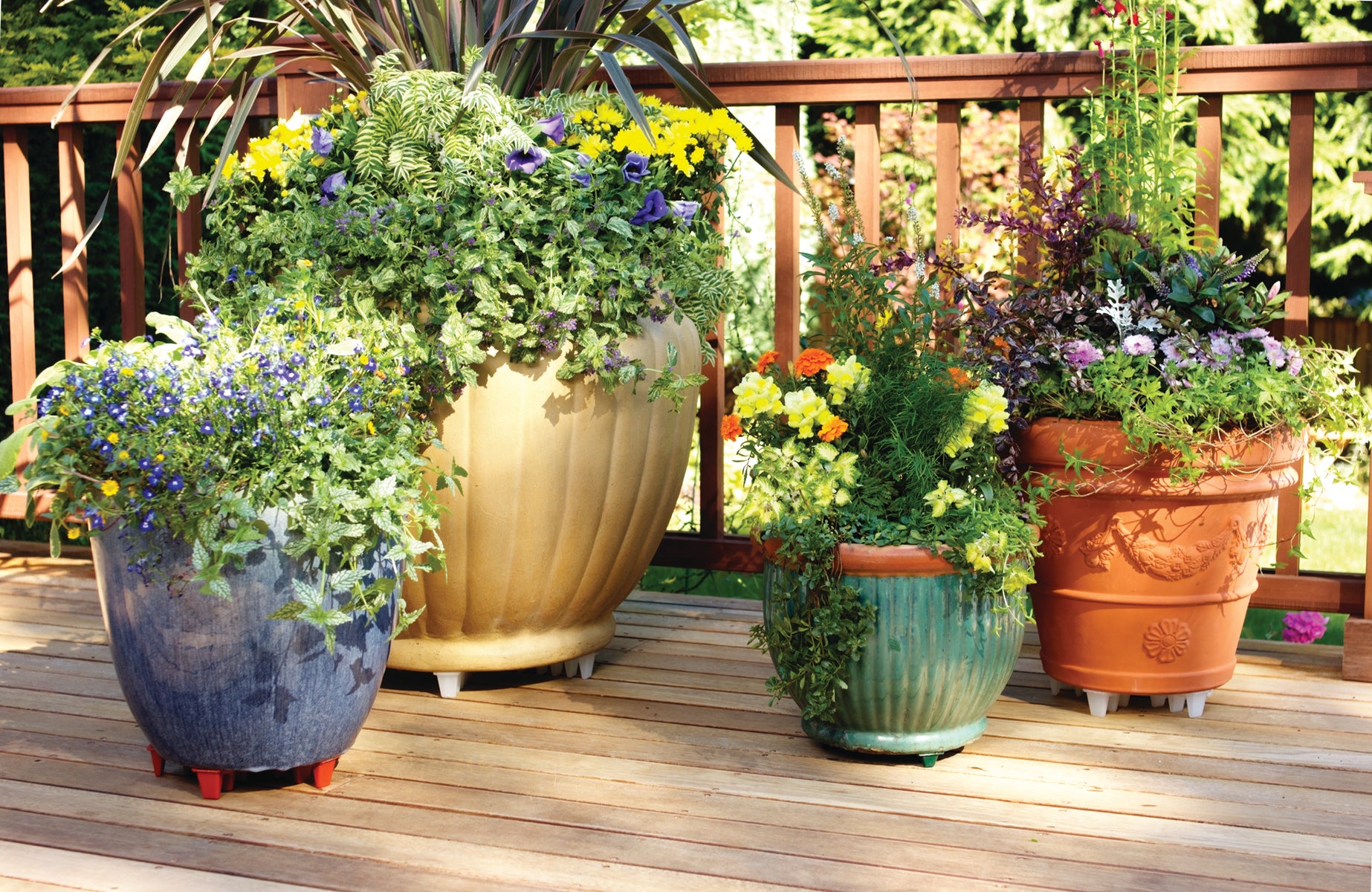 Down Under 16" Plant Stand Clear