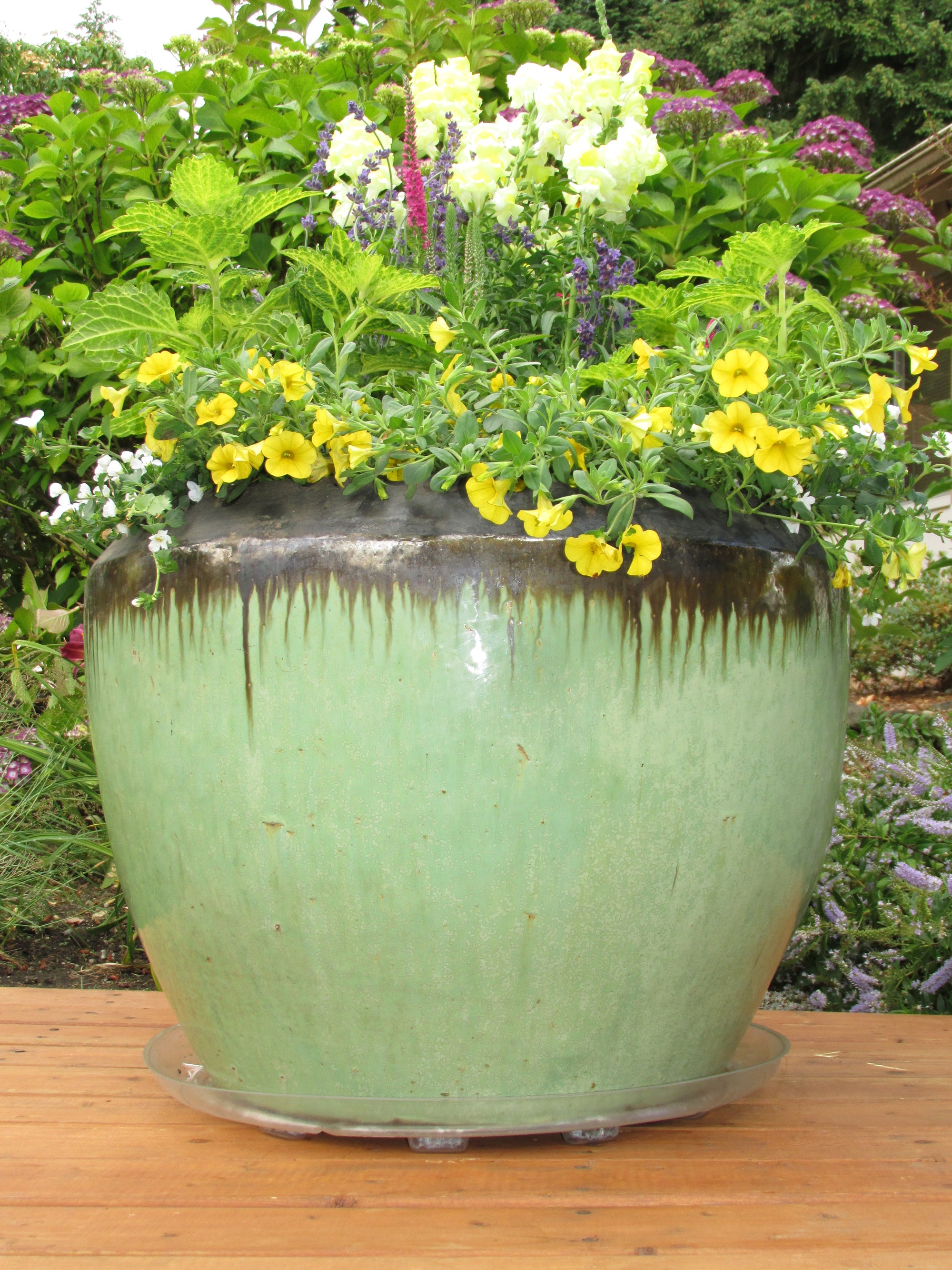 Down Under Plant Saucer - 21" Clear