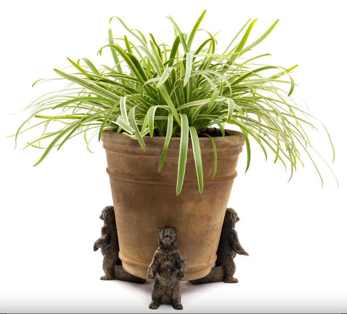 Jardinopia Potty Feet - Bear Set of 3