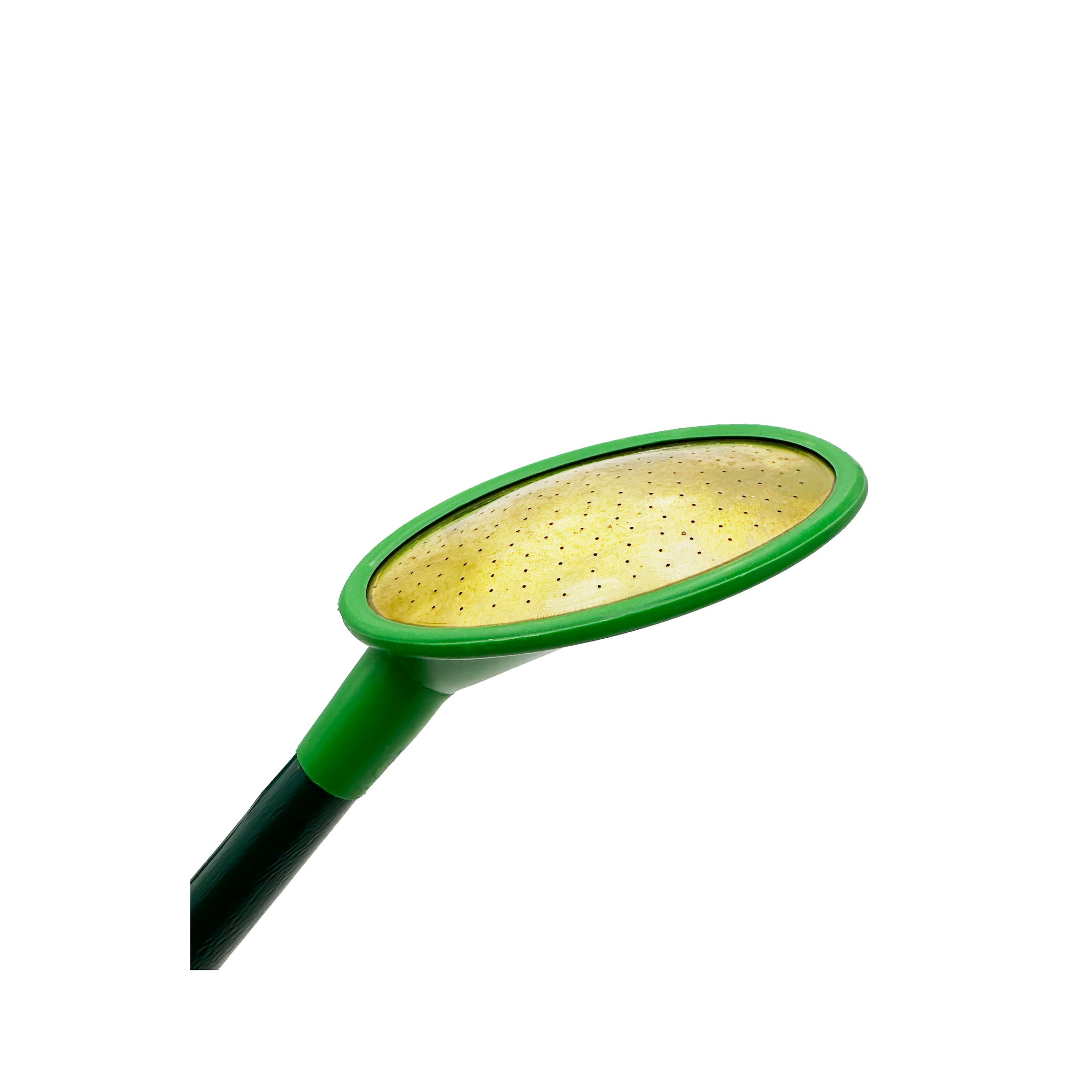 Oval Replacement Rose with Extension Spout