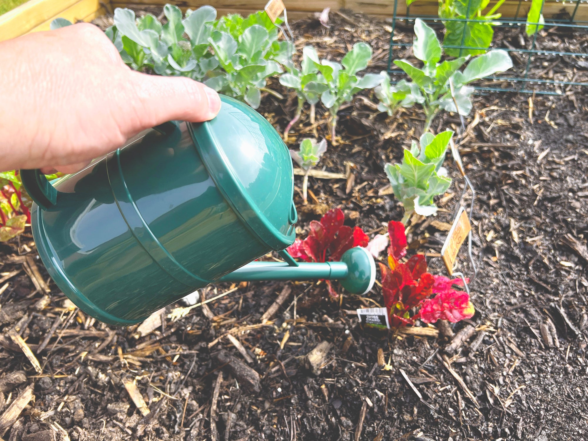 Bosmere 1.5Lt Porous Watering Can