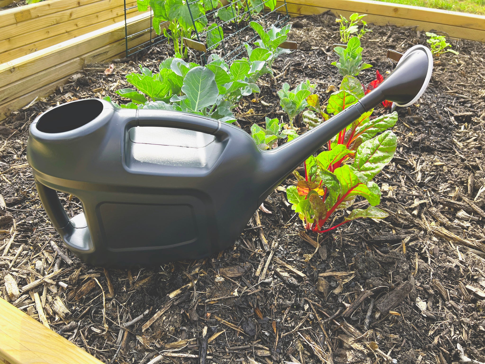 Strata 6L Watering Can