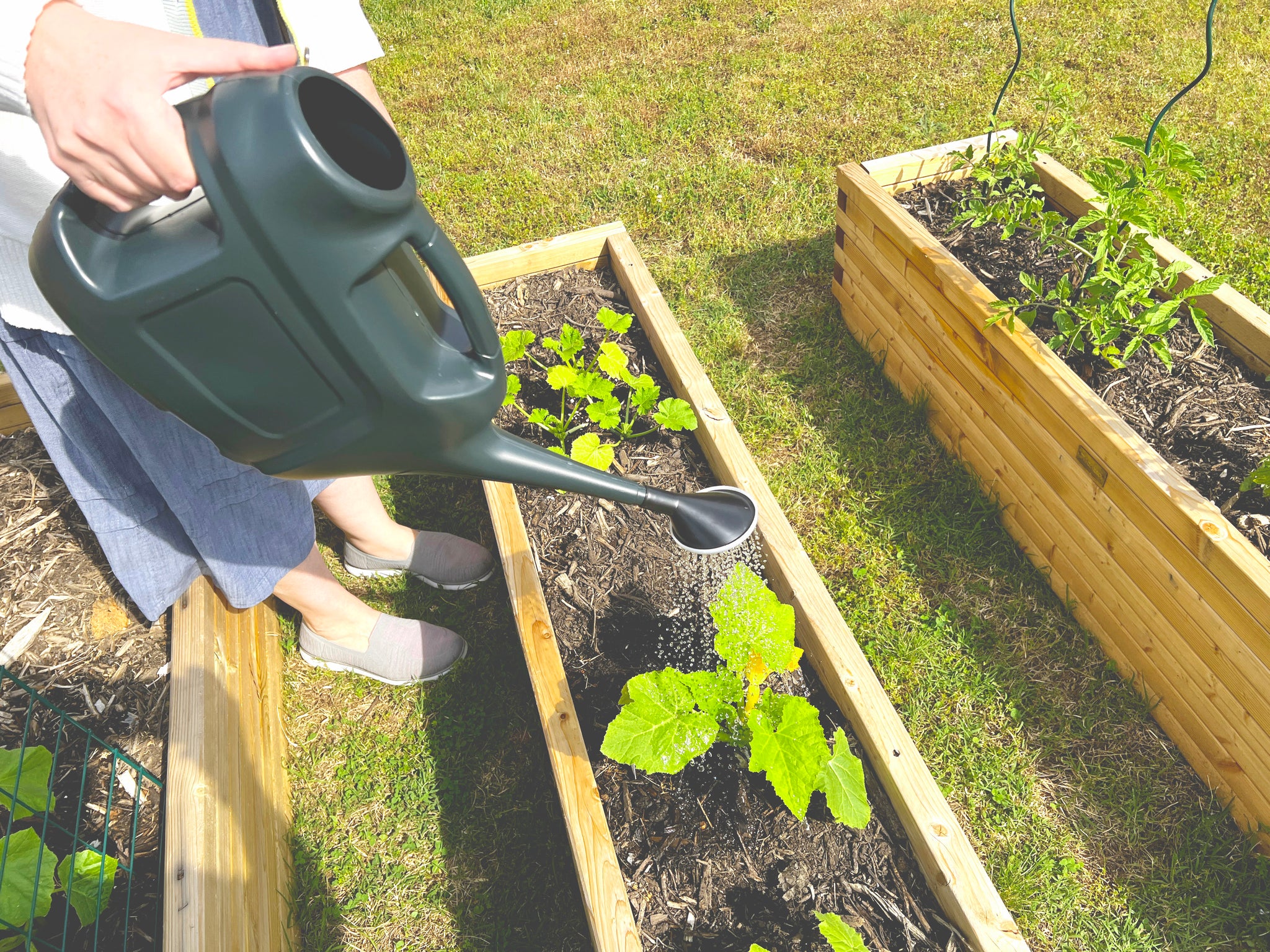 Strata 6L Watering Can