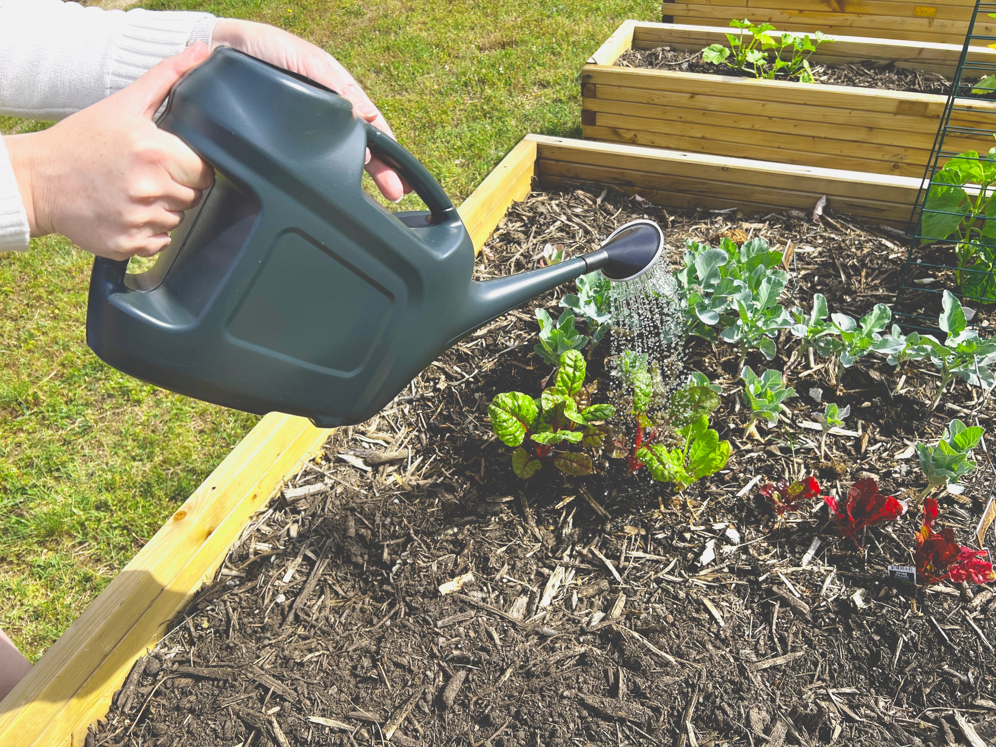 Strata 6L Watering Can