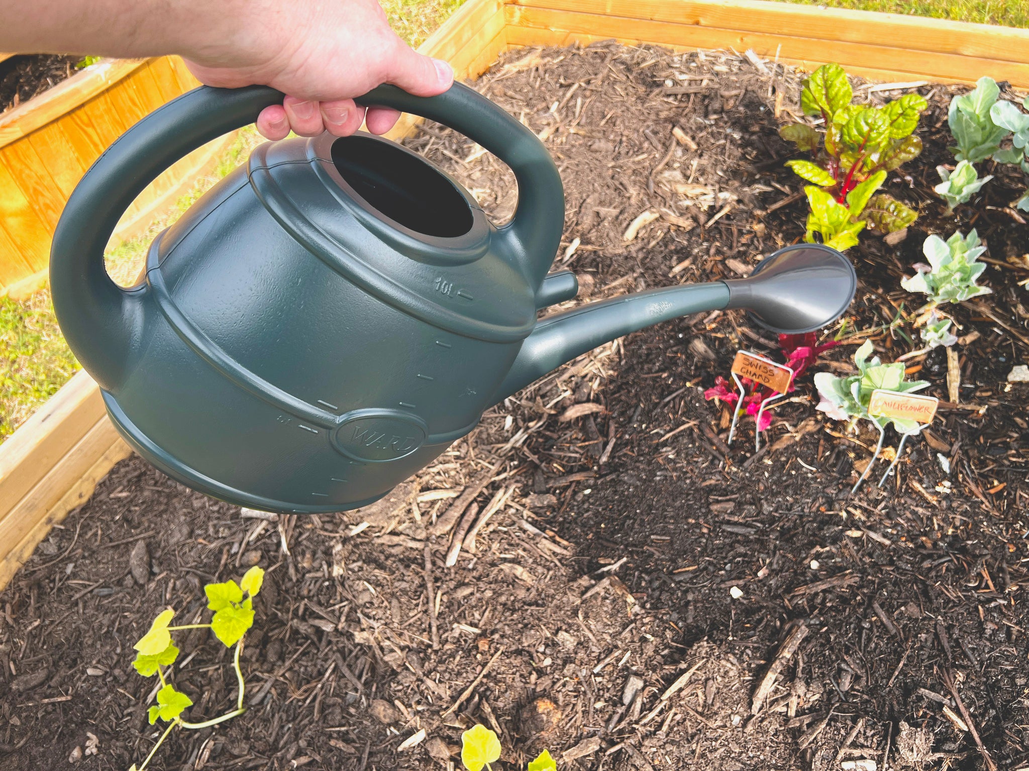 Strata 10L Watering Can