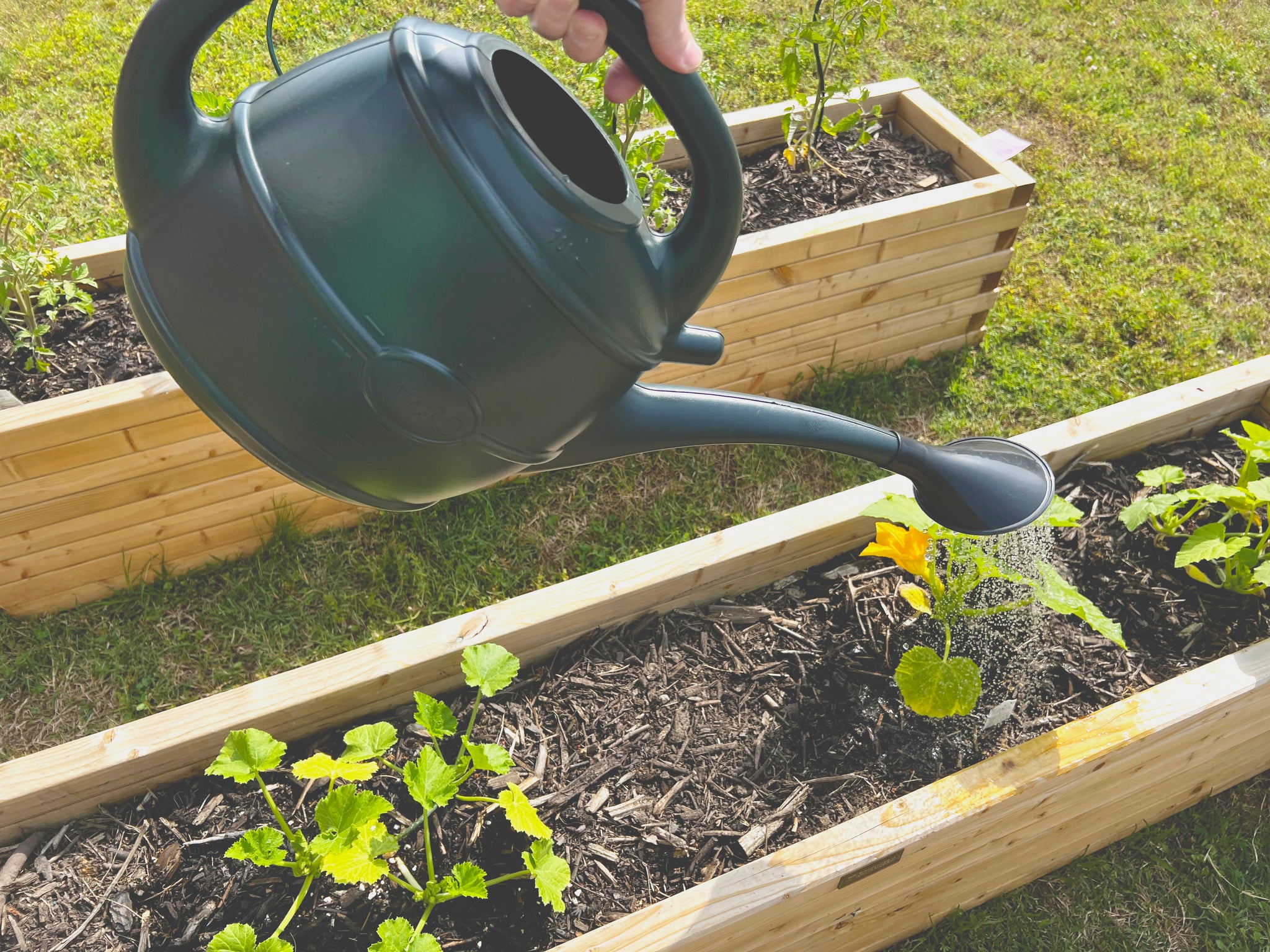 Strata 10L Watering Can
