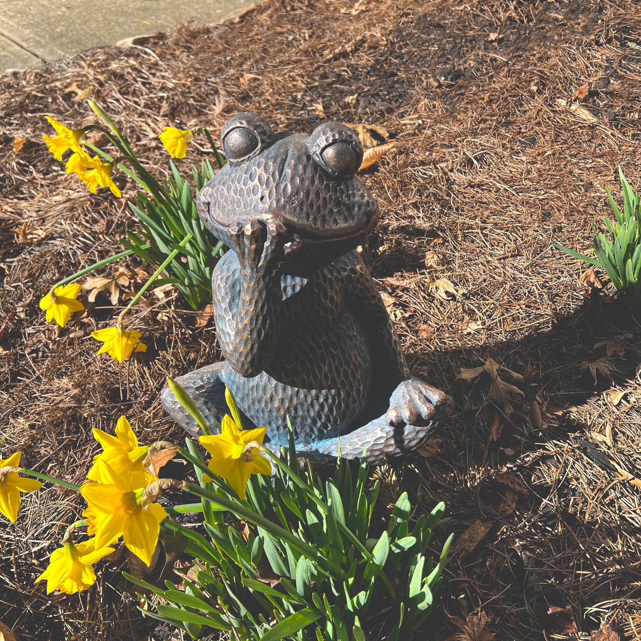 Decorative Sitting Frog