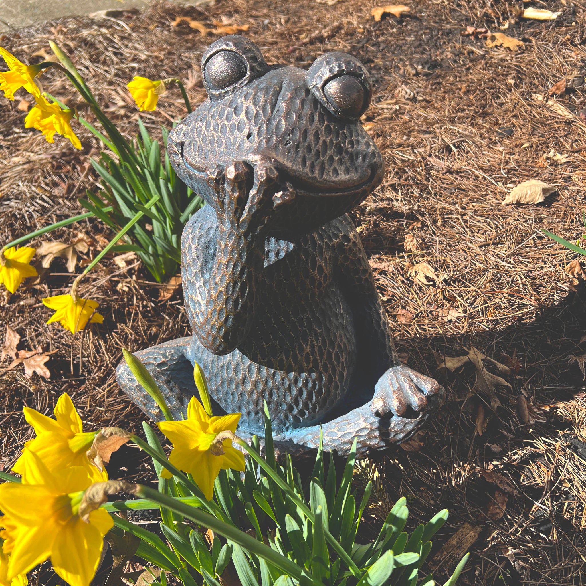 Decorative Sitting Frog