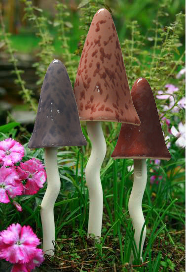 Tinkling Toadstools