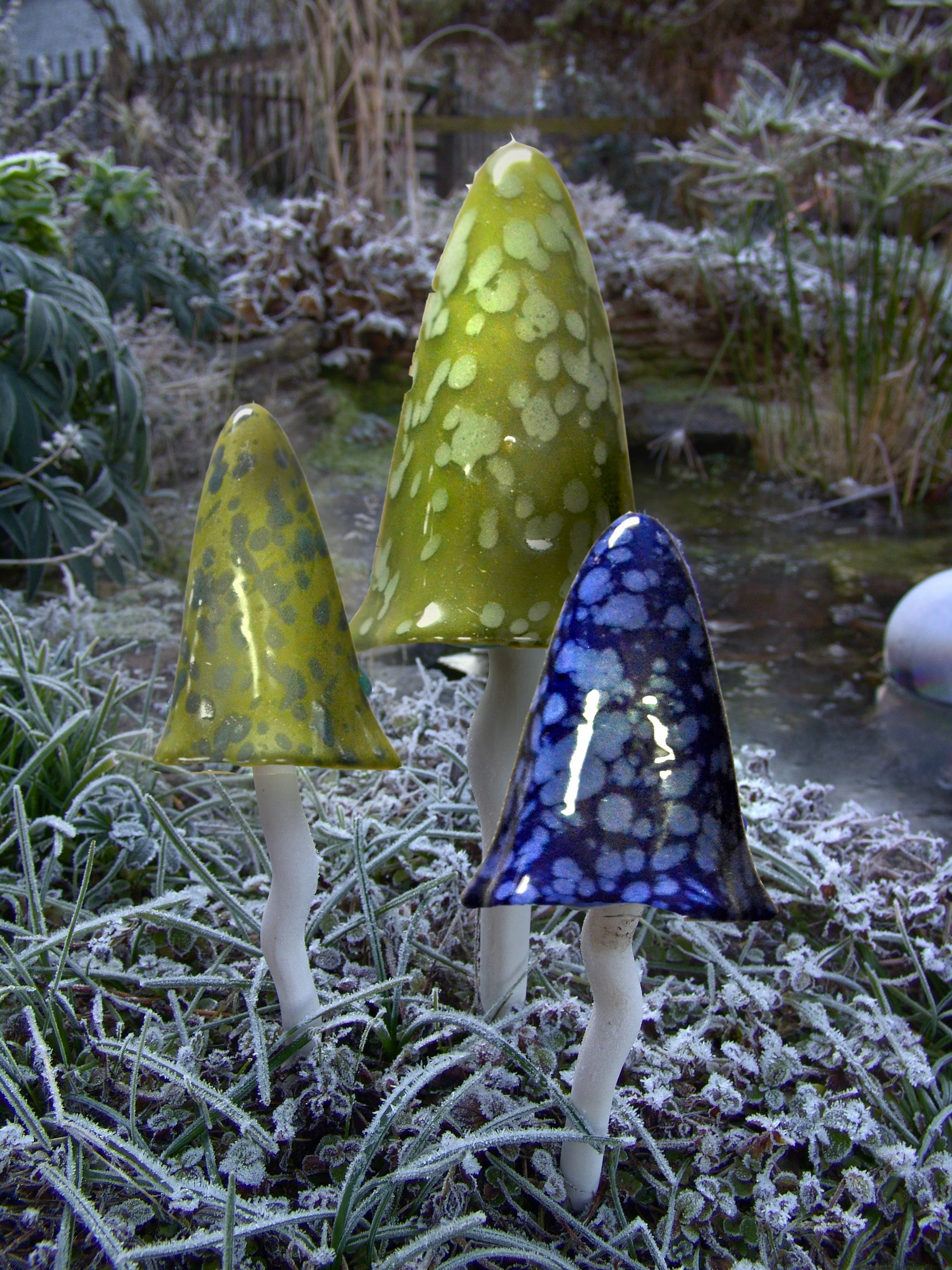 Tinkling Toadstools