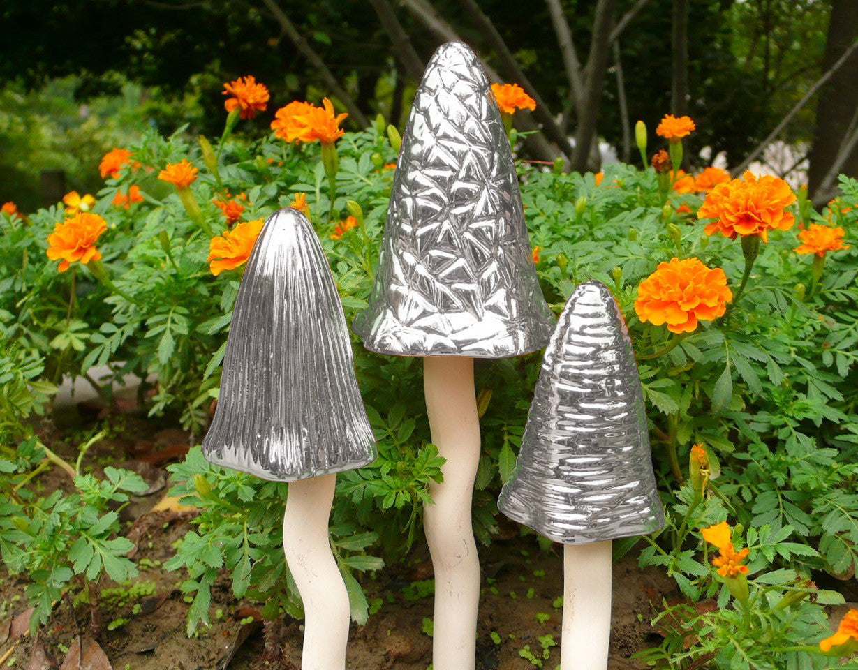 Silver Tinkling Toadstools