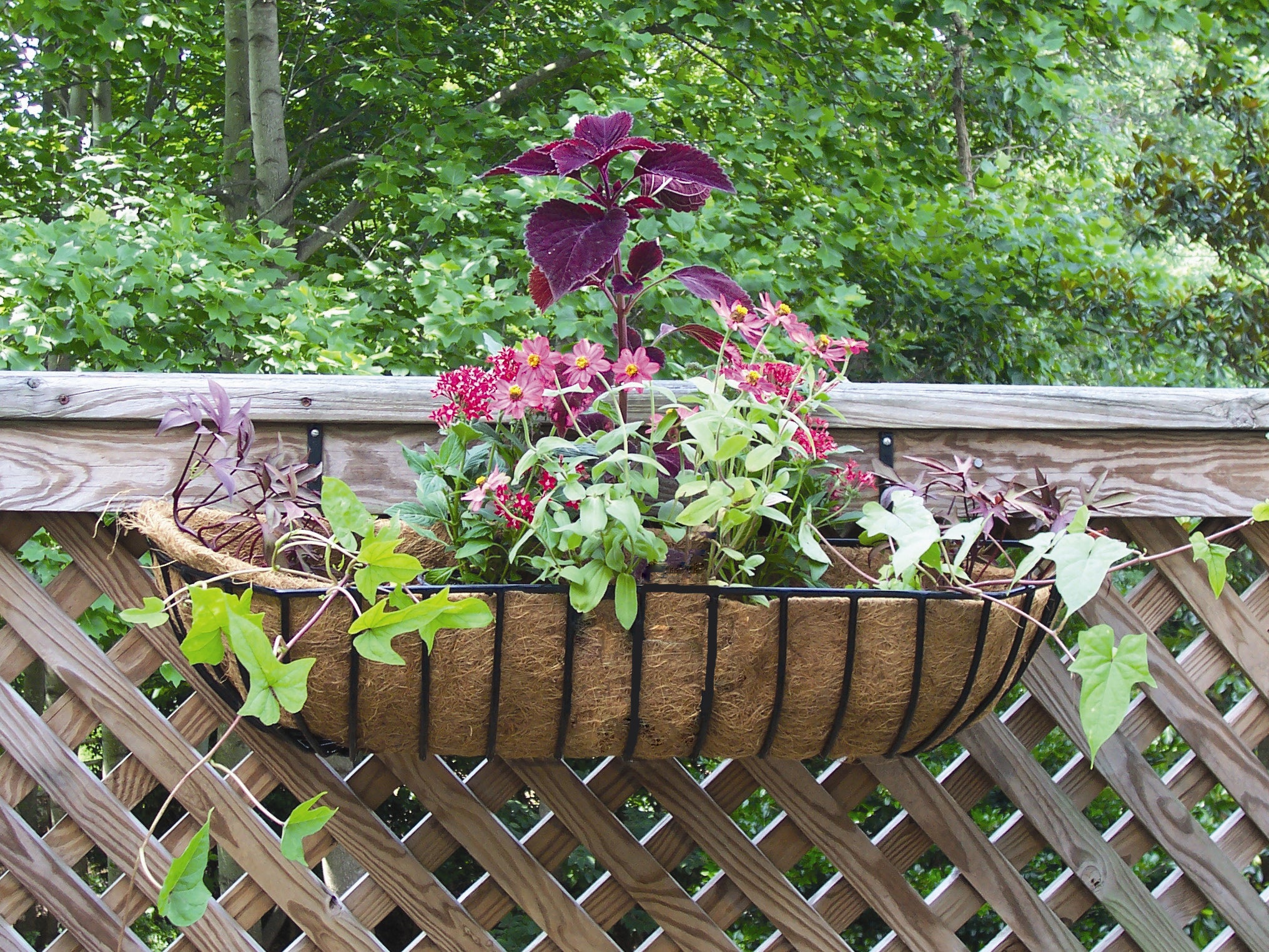 Window Replacement Basket Liner