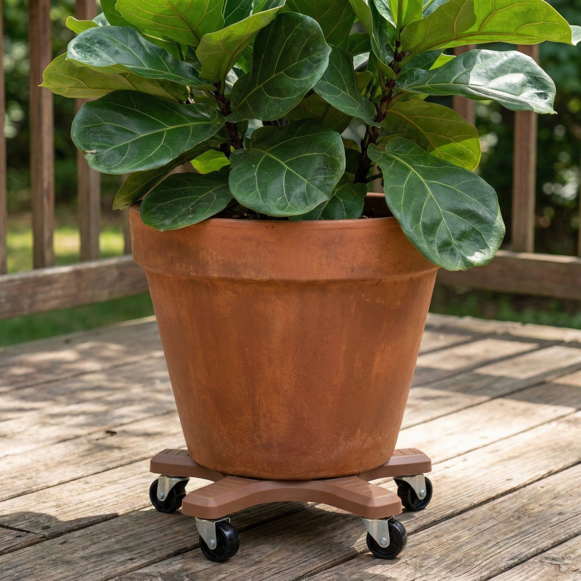 Down Under 12" Terracotta Plant Caddie
