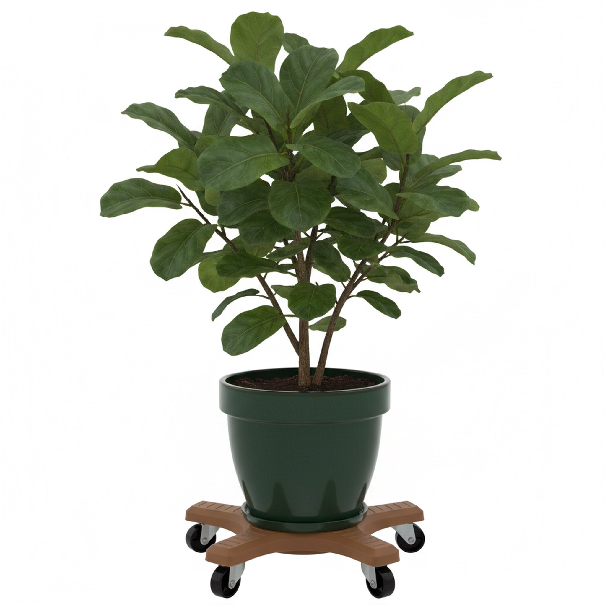 Down Under 12" Terracotta Plant Caddie