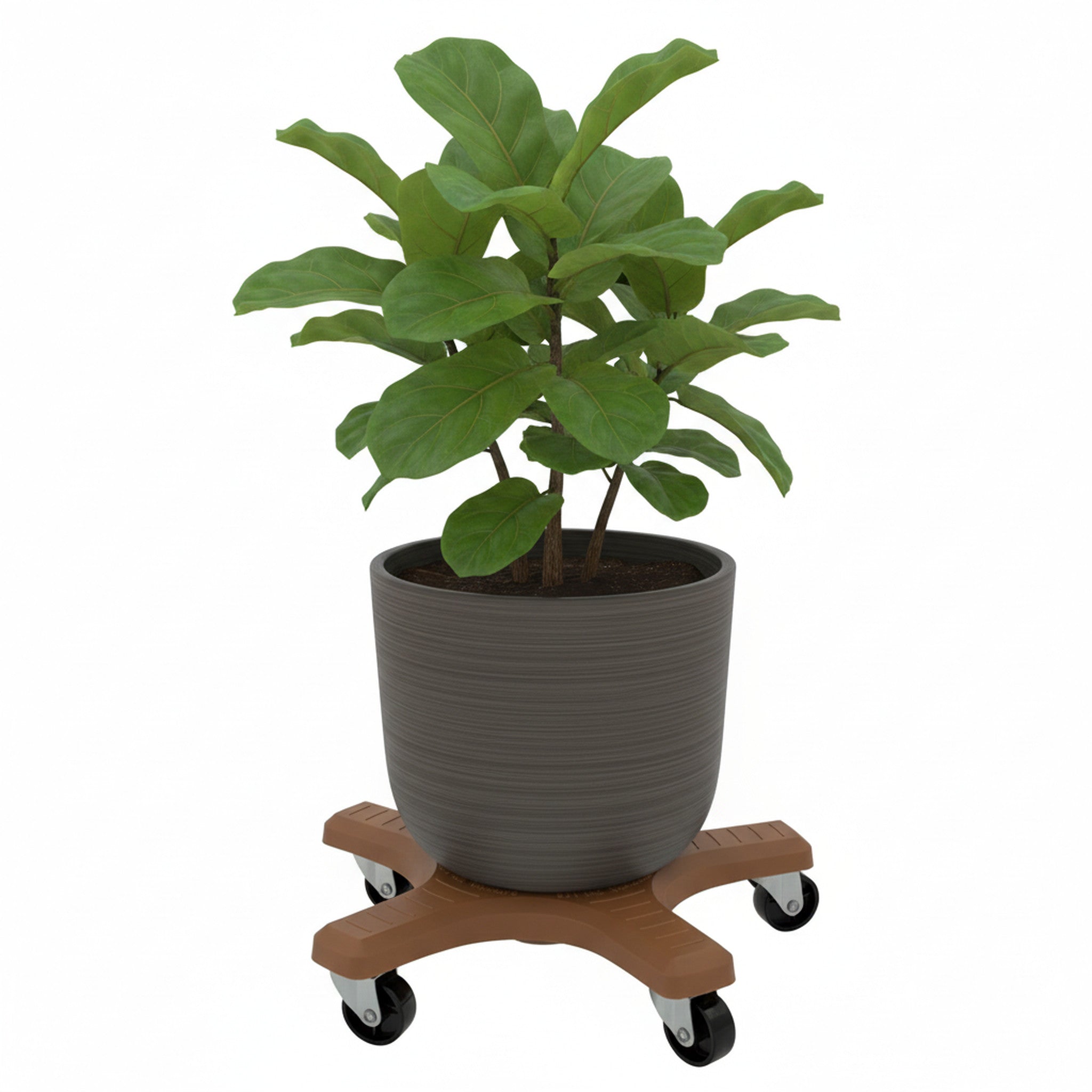 Down Under 12" Terracotta Plant Caddie