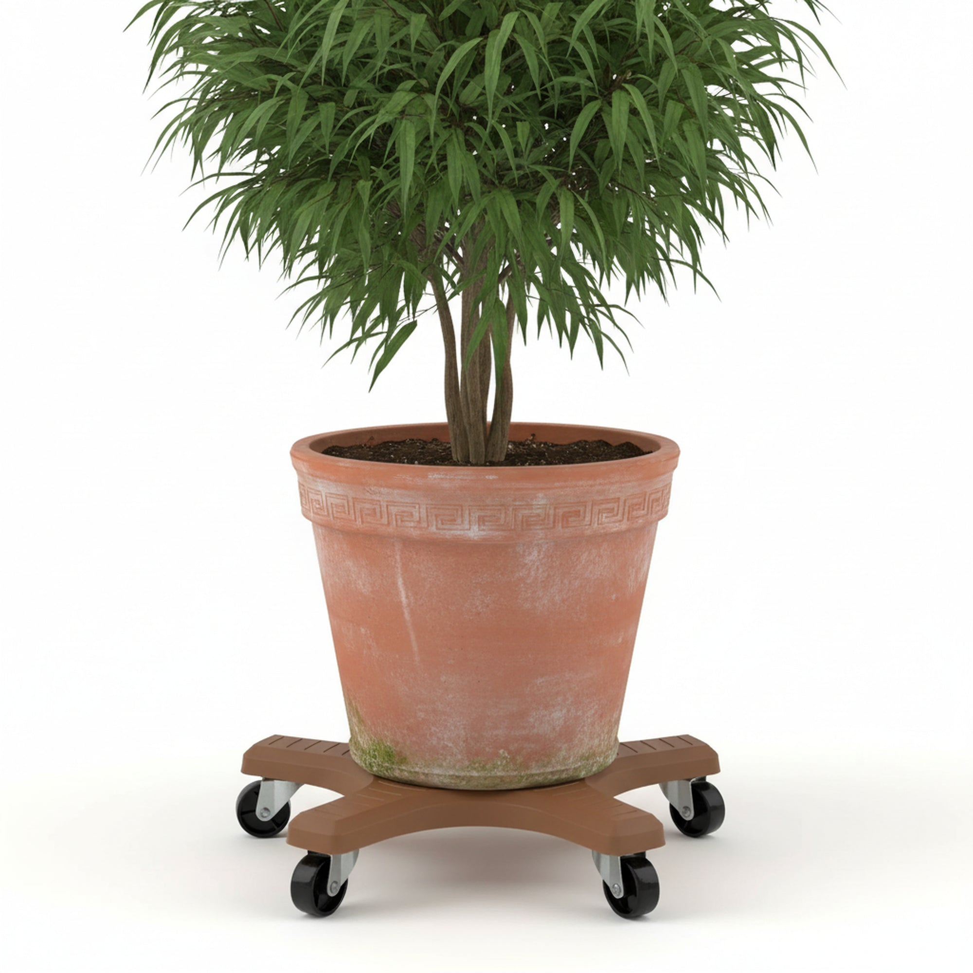 Down Under 12" Terracotta Plant Caddie
