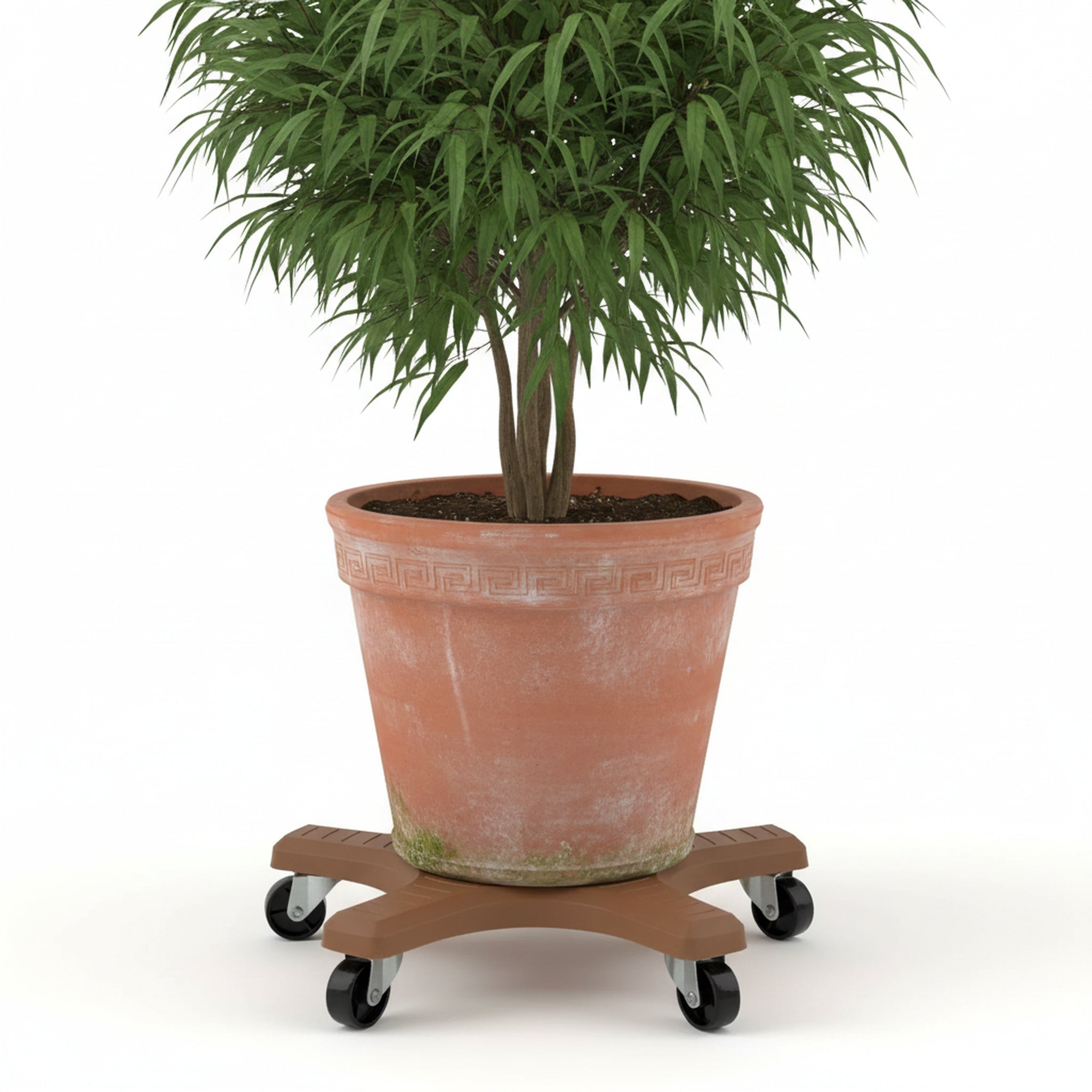 Down Under 12" Terracotta Plant Caddie