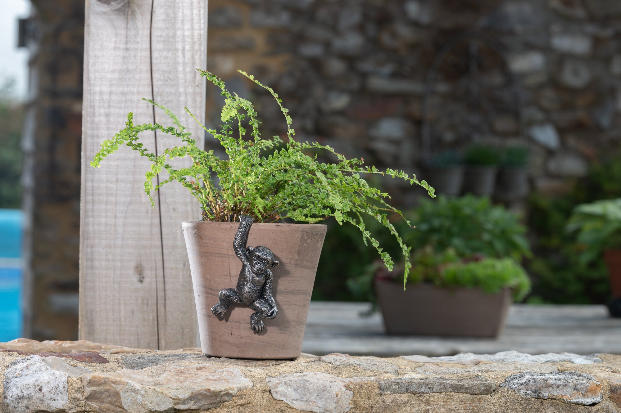 Jardinopia Pot Hanger Pot Buddies - Chimpanzee