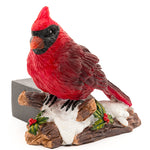 Jardinopia Potty Feet - Cardinal Full Color Set of 3